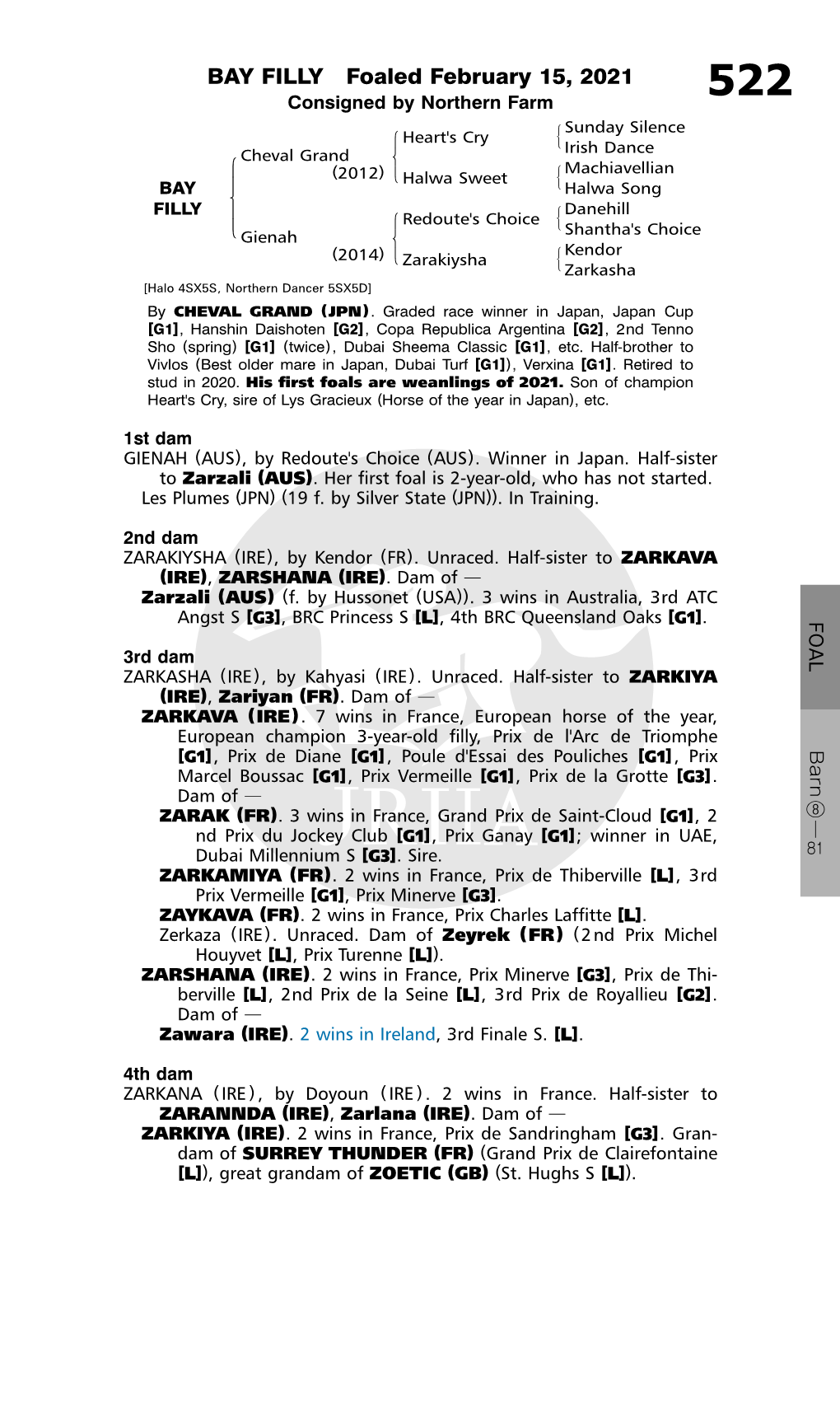 BAY FILLY Foaled February 15, 2021