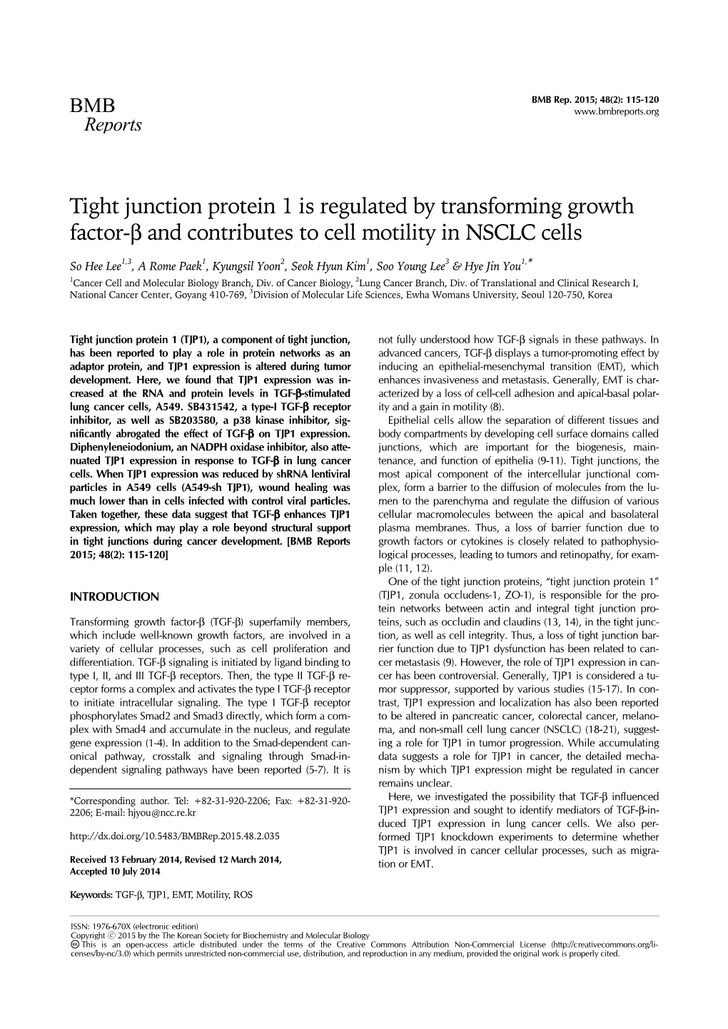 Tight Junction Protein 1 Is Regulated by Transforming Growth Factor-Β and Contributes to Cell Motility in NSCLC Cells