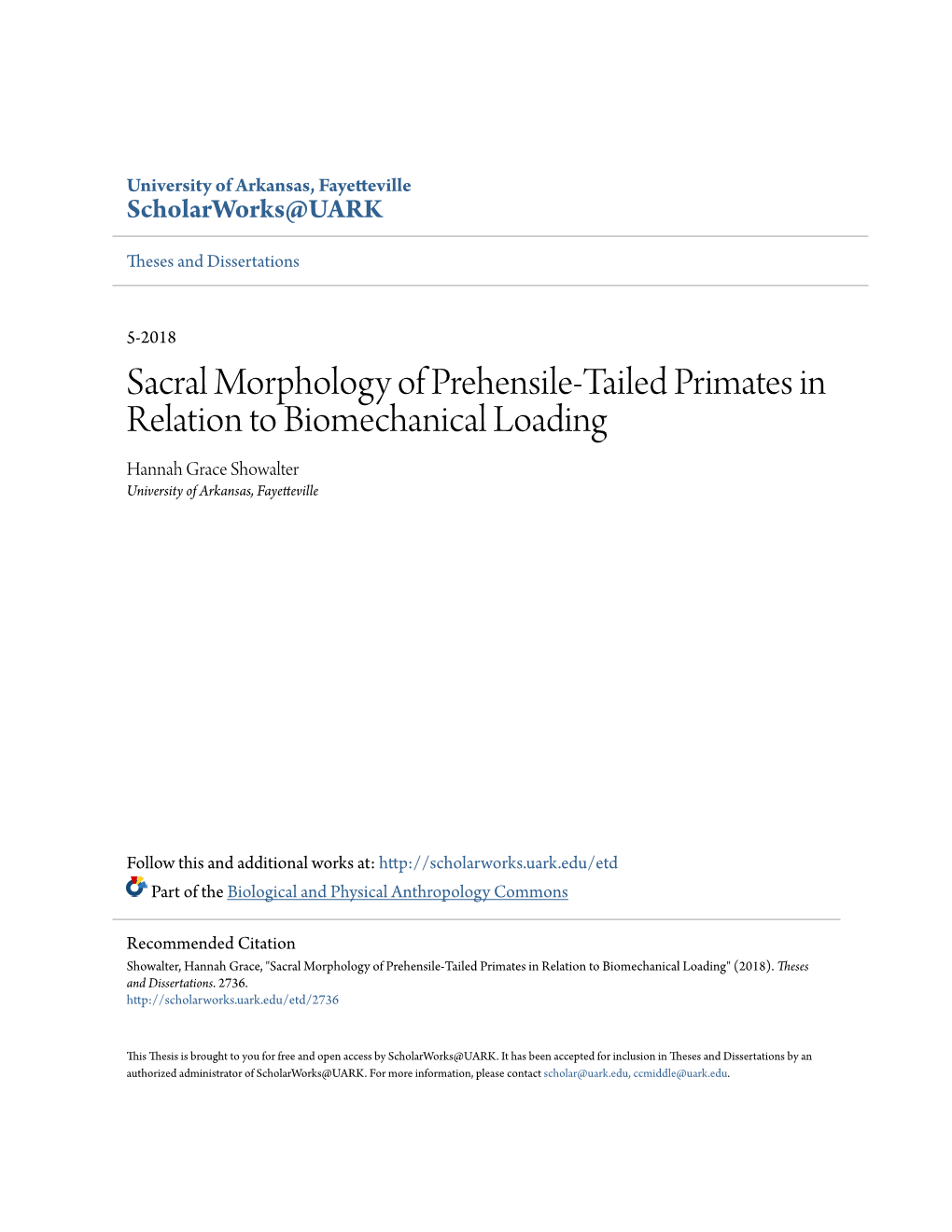 Sacral Morphology of Prehensile-Tailed Primates in Relation to Biomechanical Loading Hannah Grace Showalter University of Arkansas, Fayetteville