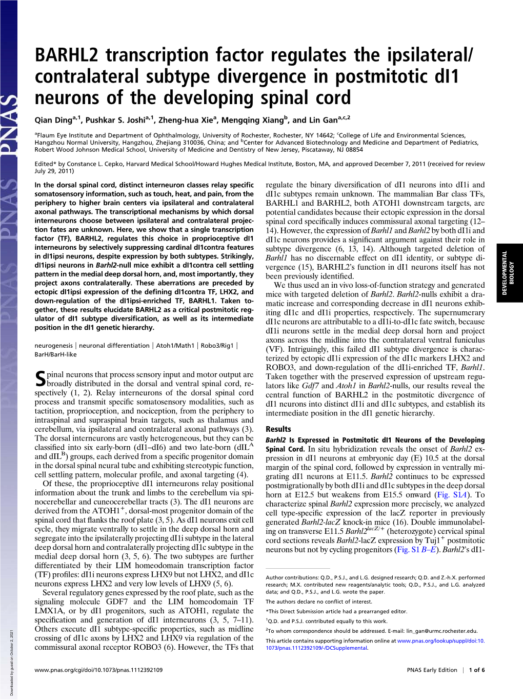 BARHL2 Transcription Factor Regulates the Ipsilateral/ Contralateral Subtype Divergence in Postmitotic Di1 Neurons of the Developing Spinal Cord