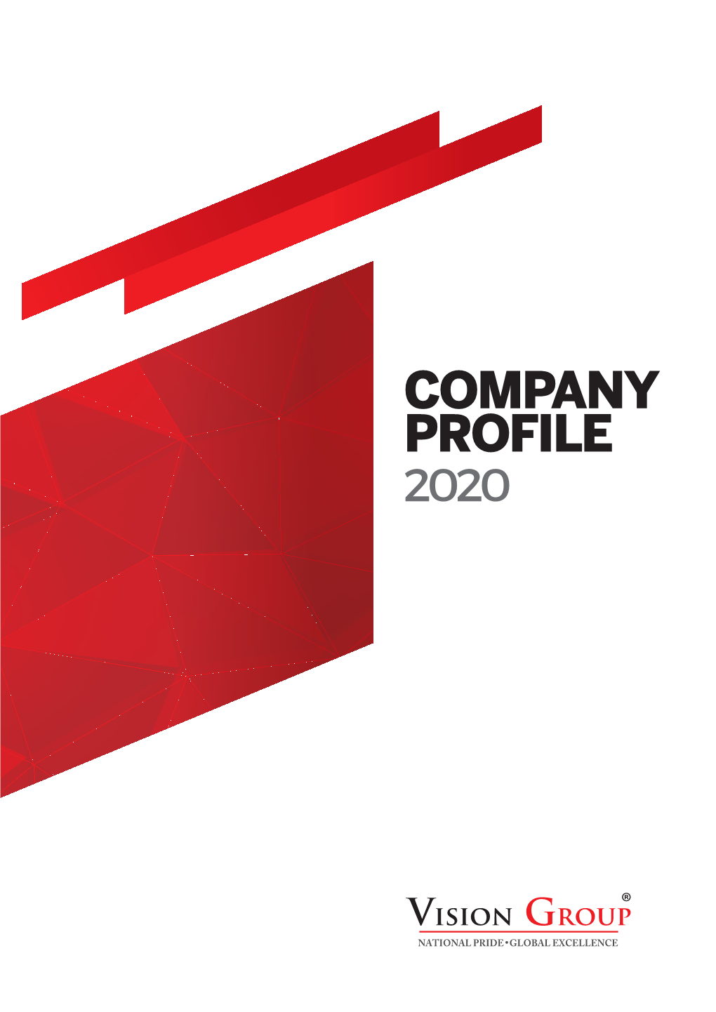 VG Company Profile 2020 NEW.Indd