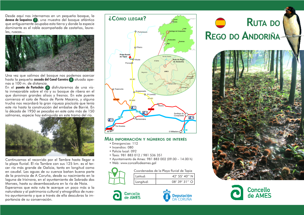 Ruta Do Rego Do Andoriña