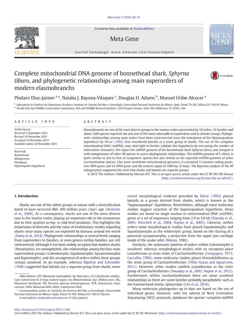 Complete Mitochondrial DNA Genome of Bonnethead Shark, Sphyrna Tiburo, and Phylogenetic Relationships Among Main Superorders of Modern Elasmobranchs