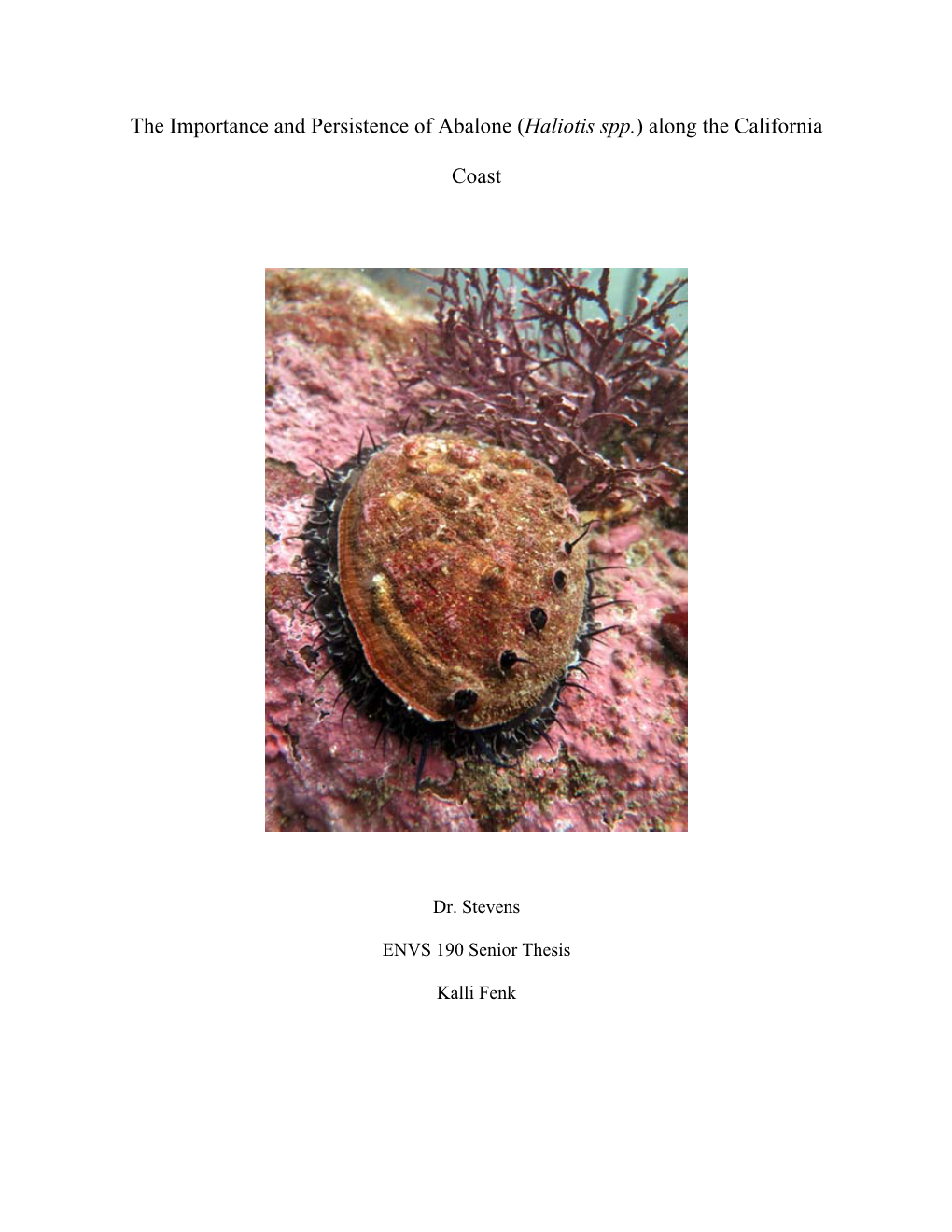 The Importance and Persistence of Abalone (Haliotis Spp.) Along the California