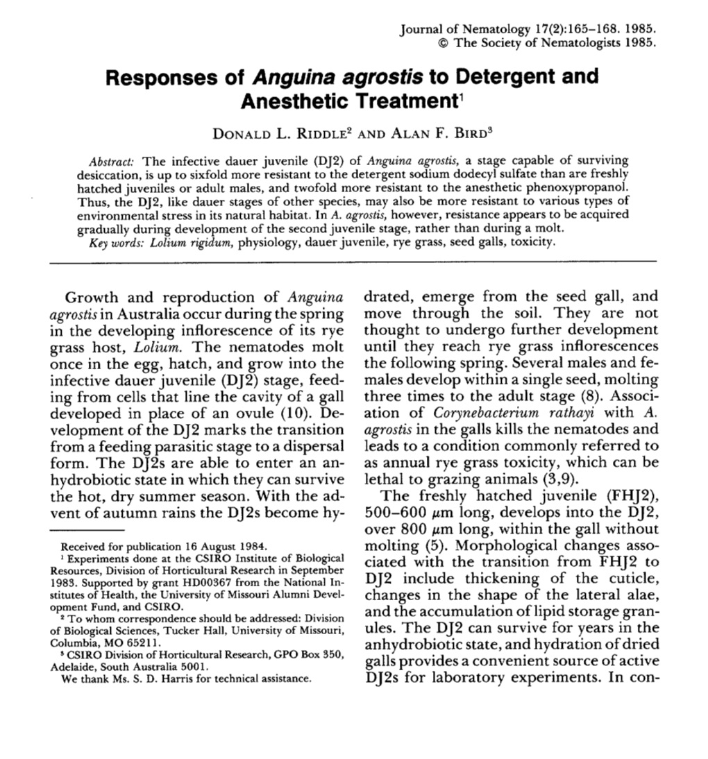 Responses of Anguina Agrostis to Detergent and Anesthetic Treatment 1