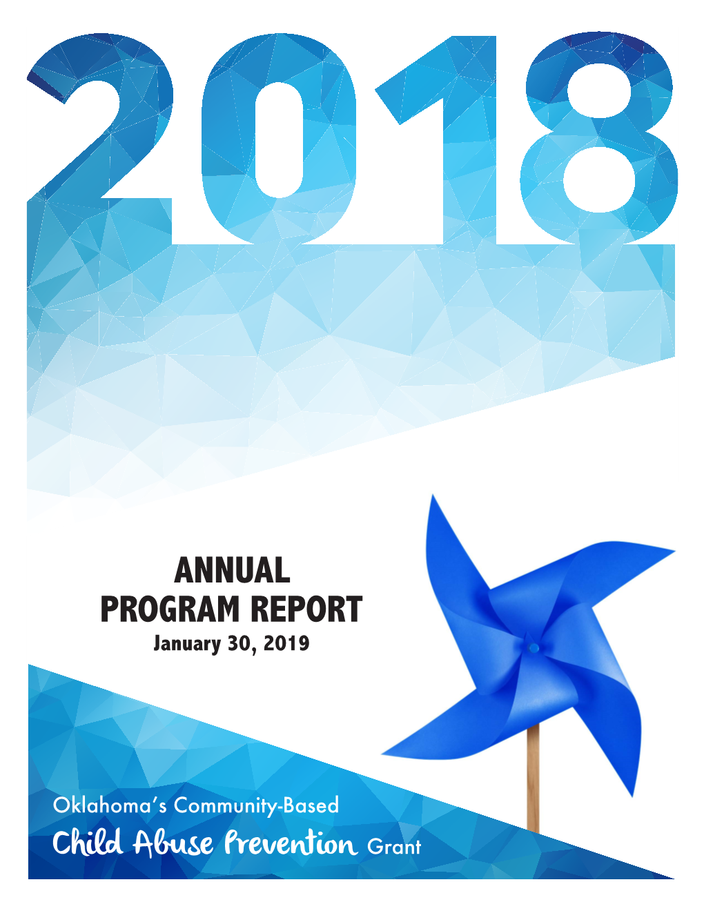 ANNUAL PROGRAM REPORT January 30, 2019