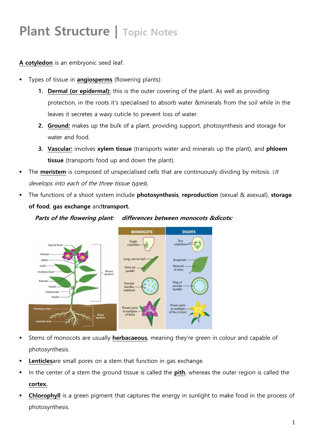 Plant Structure | Topic Notes