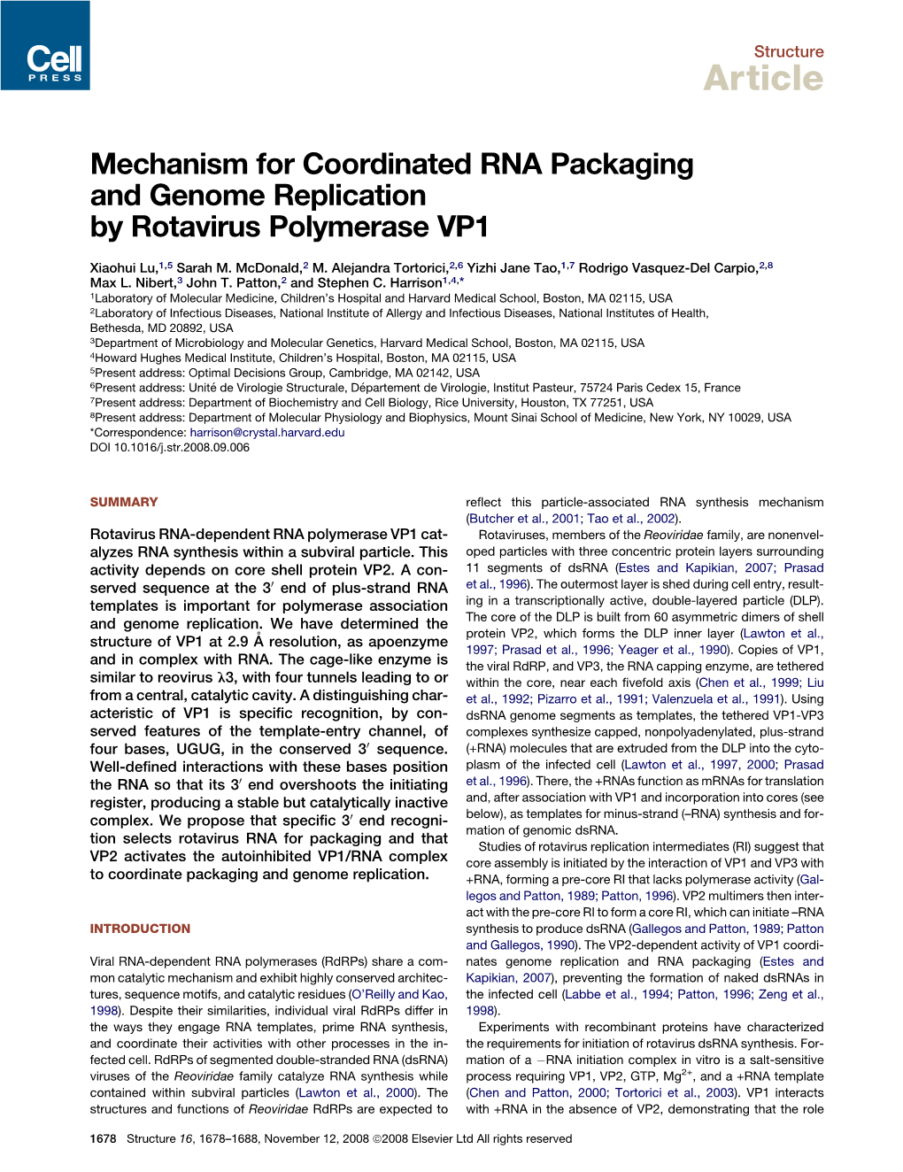 Mechanism for Coordinated RNA Packaging and Genome Replication by Rotavirus Polymerase VP1