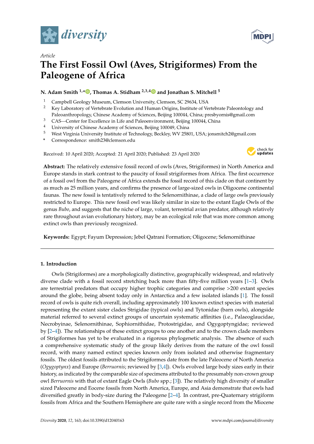 The First Fossil Owl (Aves, Strigiformes) from the Paleogene of Africa