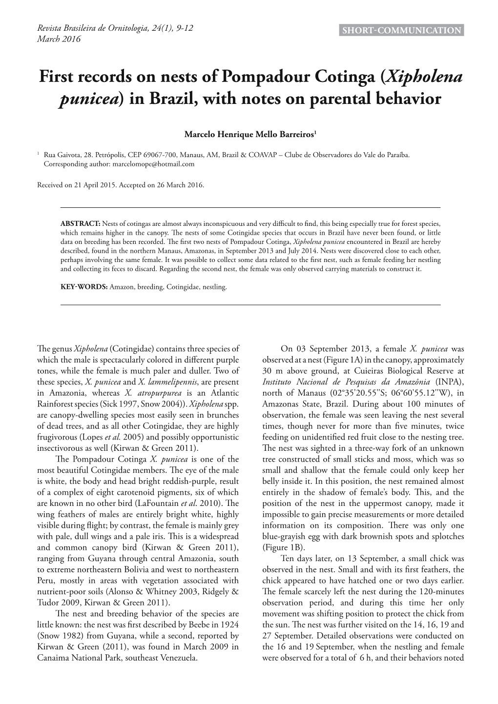 First Records on Nests of Pompadour Cotinga (Xipholena Punicea) in Brazil, with Notes on Parental Behavior