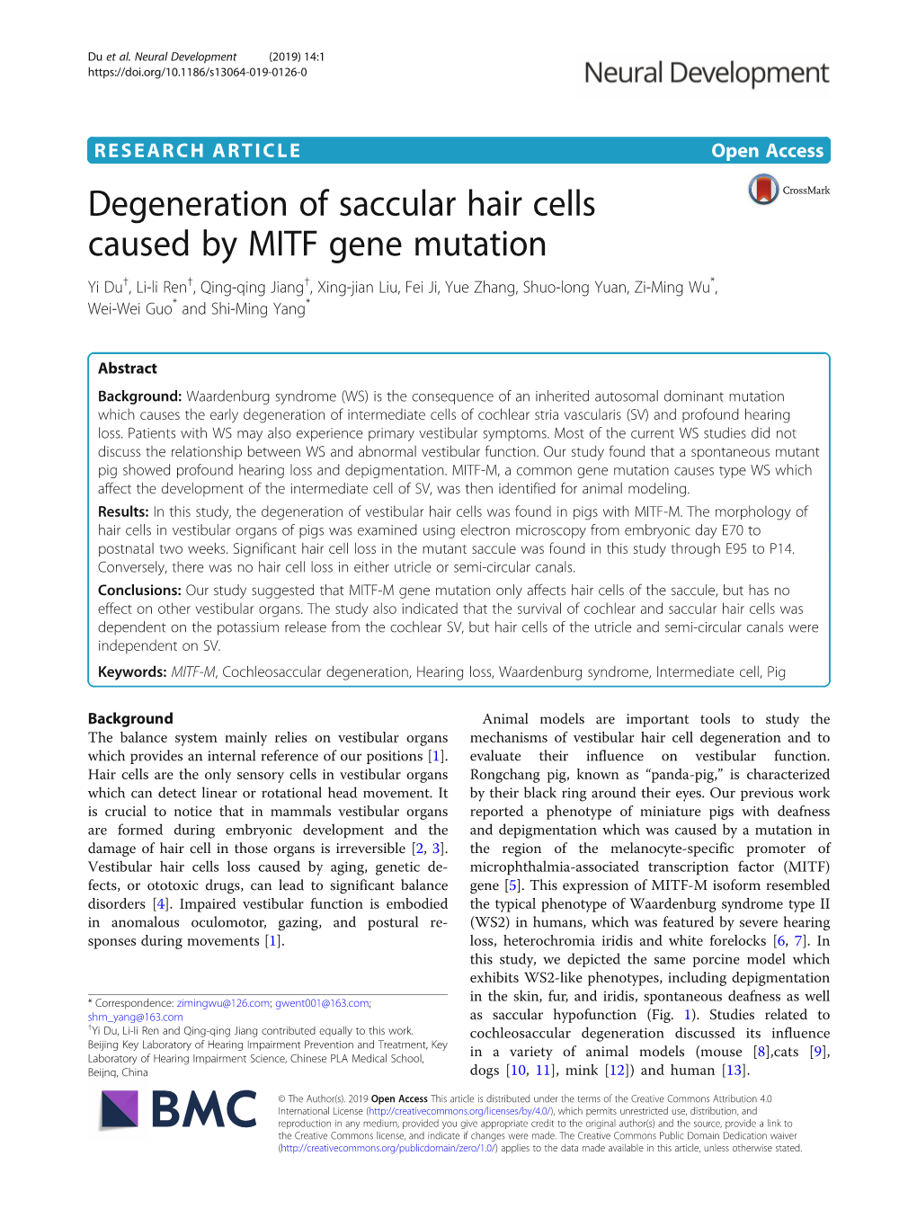 Degeneration of Saccular Hair Cells Caused by MITF Gene Mutation