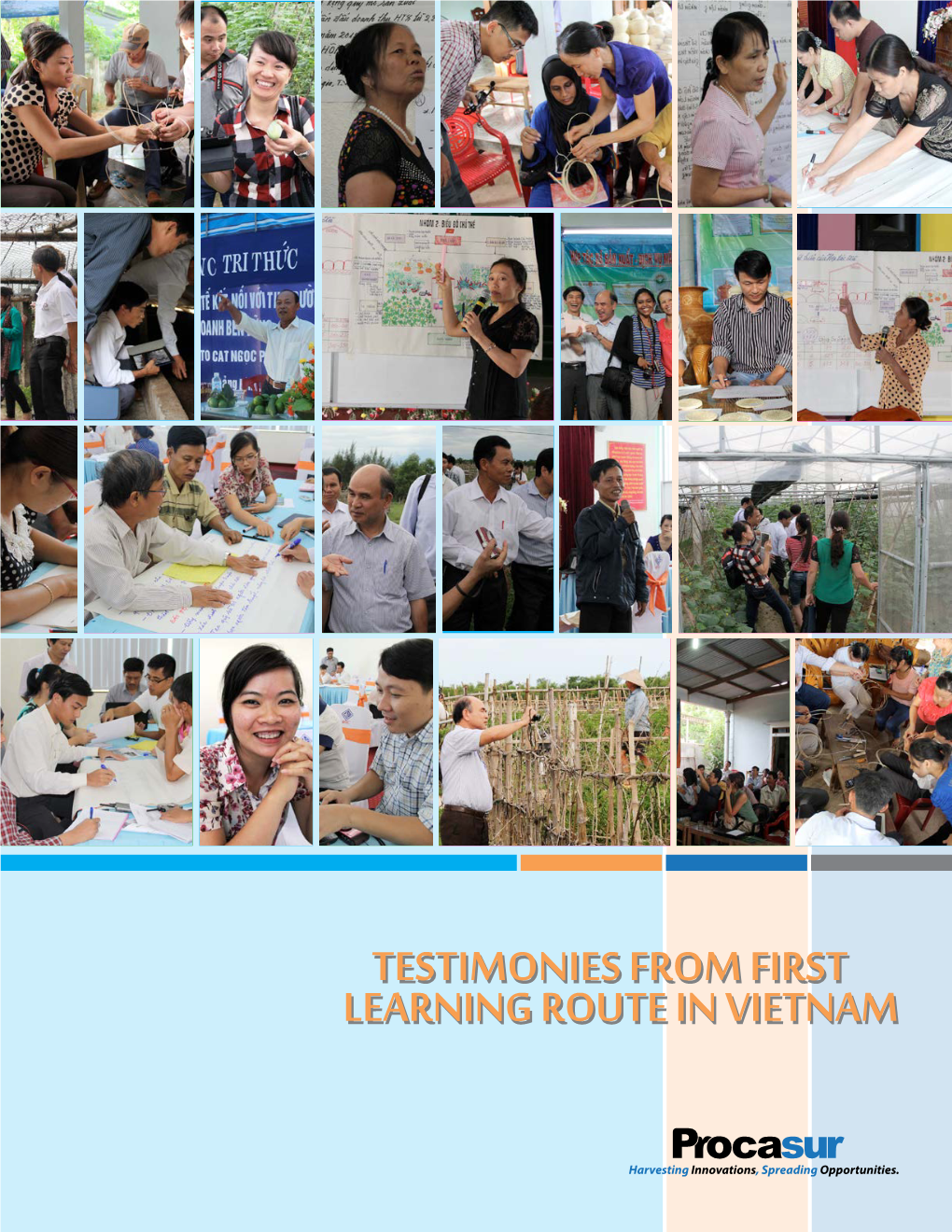 Testimonies.LR .Vietnam.Eng .Pdf