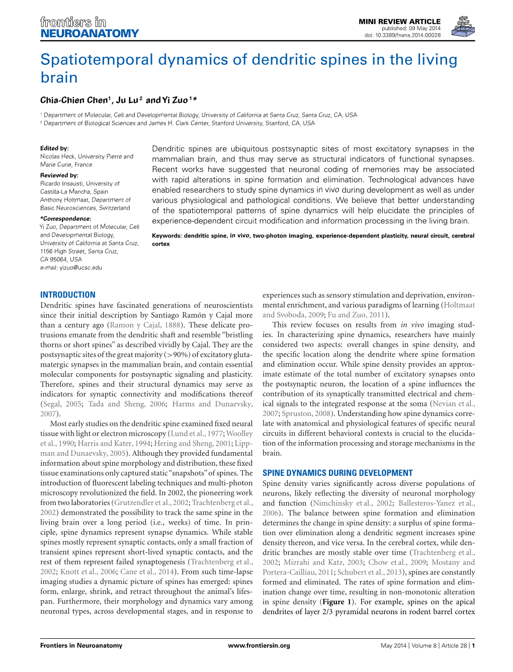 Spatiotemporal Dynamics of Dendritic Spines in the Living Brain