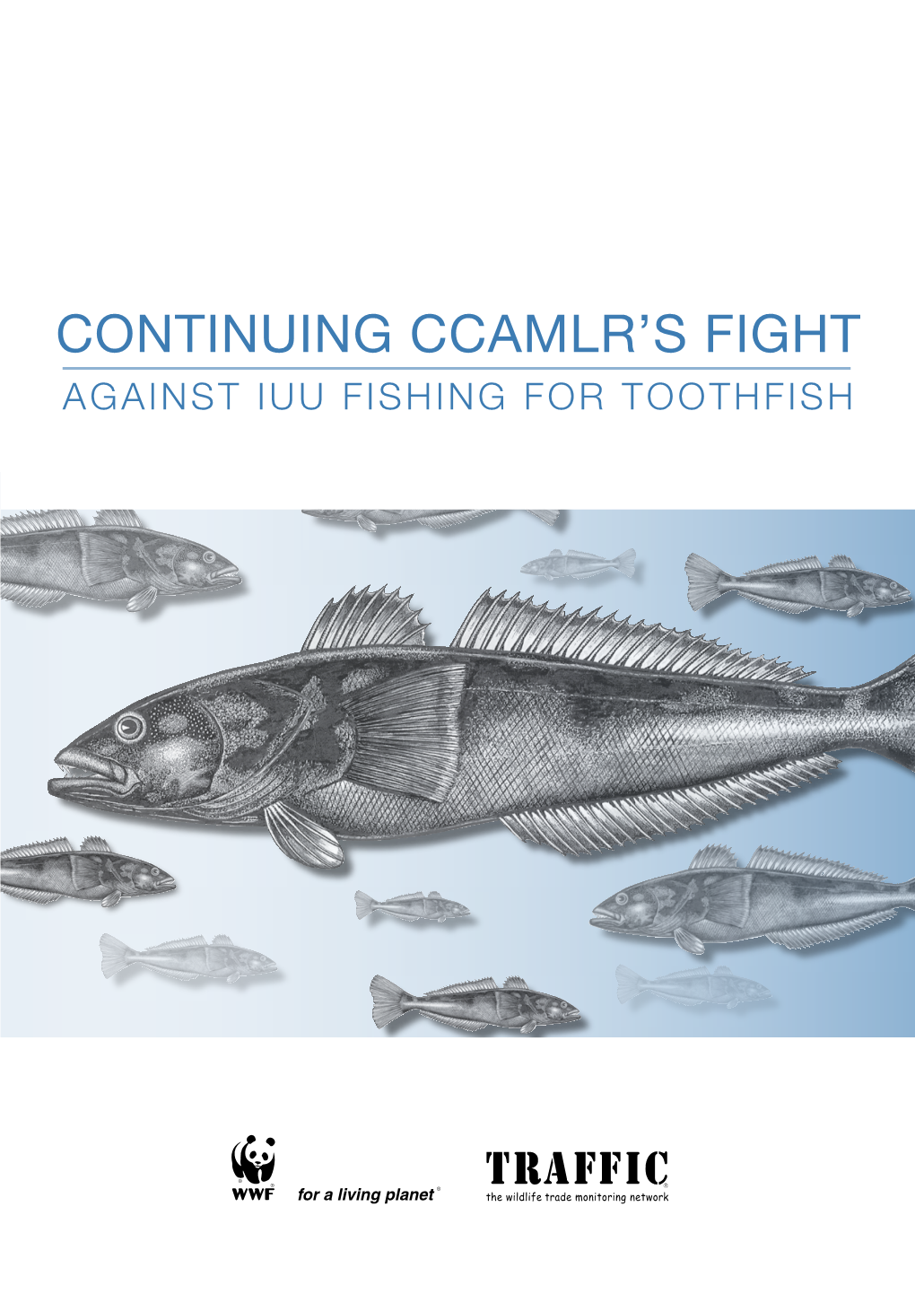 Continuing CCAMLR's Fight Against IUU Fishing for Toothfish