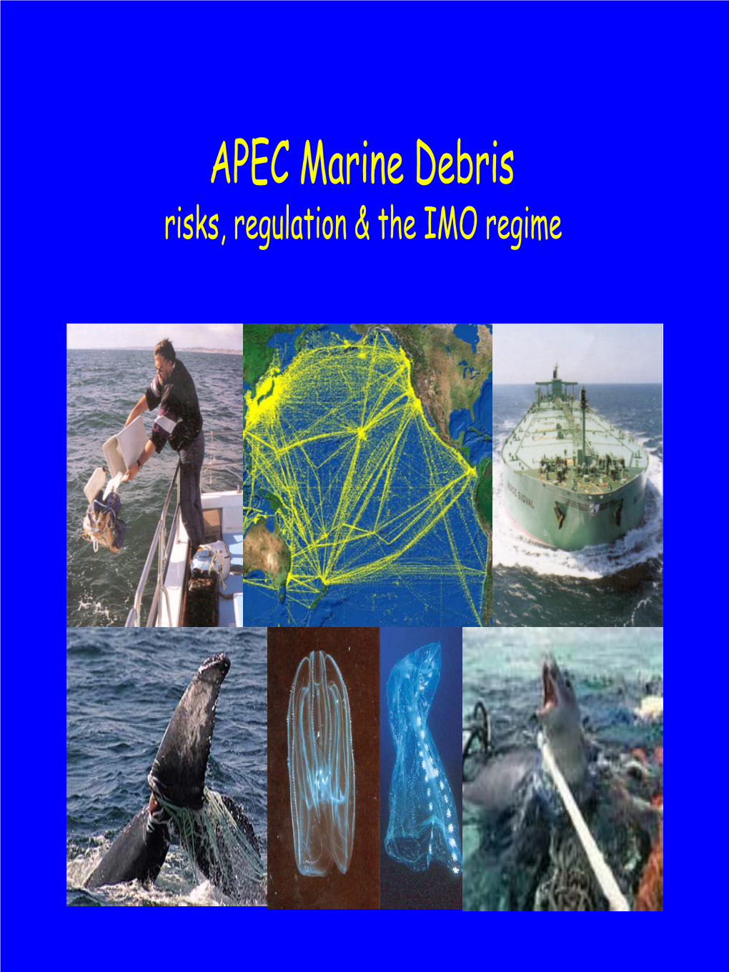 Maritime Transport & High Seas Governance