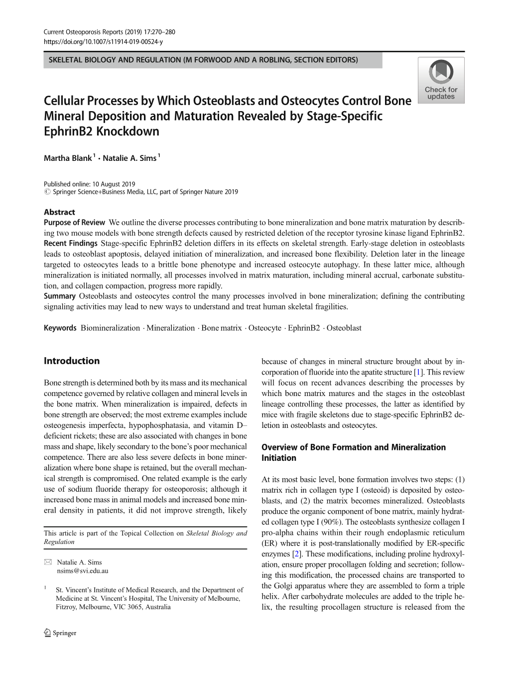 Cellular Processes by Which Osteoblasts and Osteocytes Control Bone Mineral Deposition and Maturation Revealed by Stage-Specific Ephrinb2 Knockdown