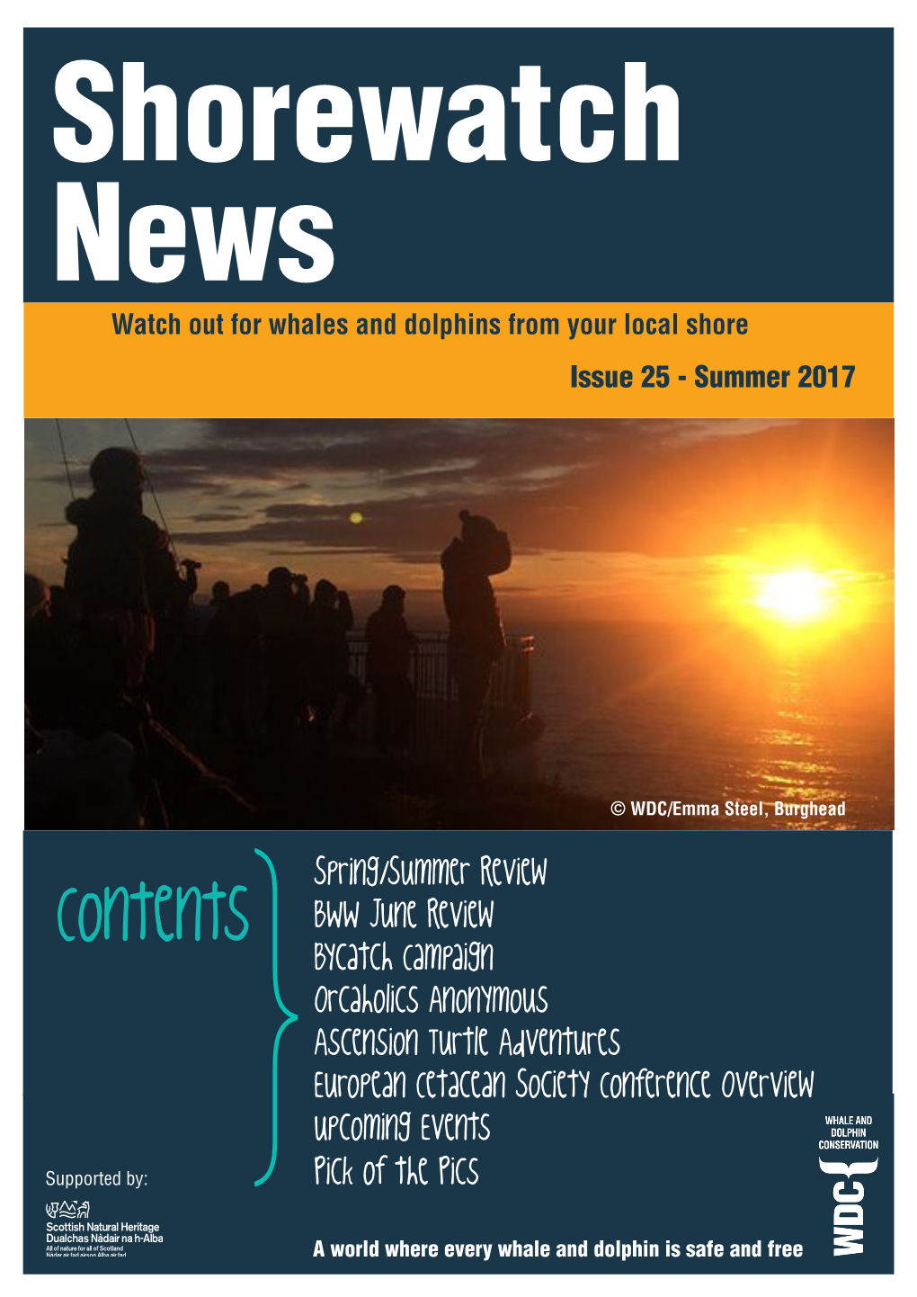 Contents BWW June Review Bycatch Campaign Orcaholics Anonymous Ascension Turtle Adventures European Cetacean Society Conference Overview Upcoming Events