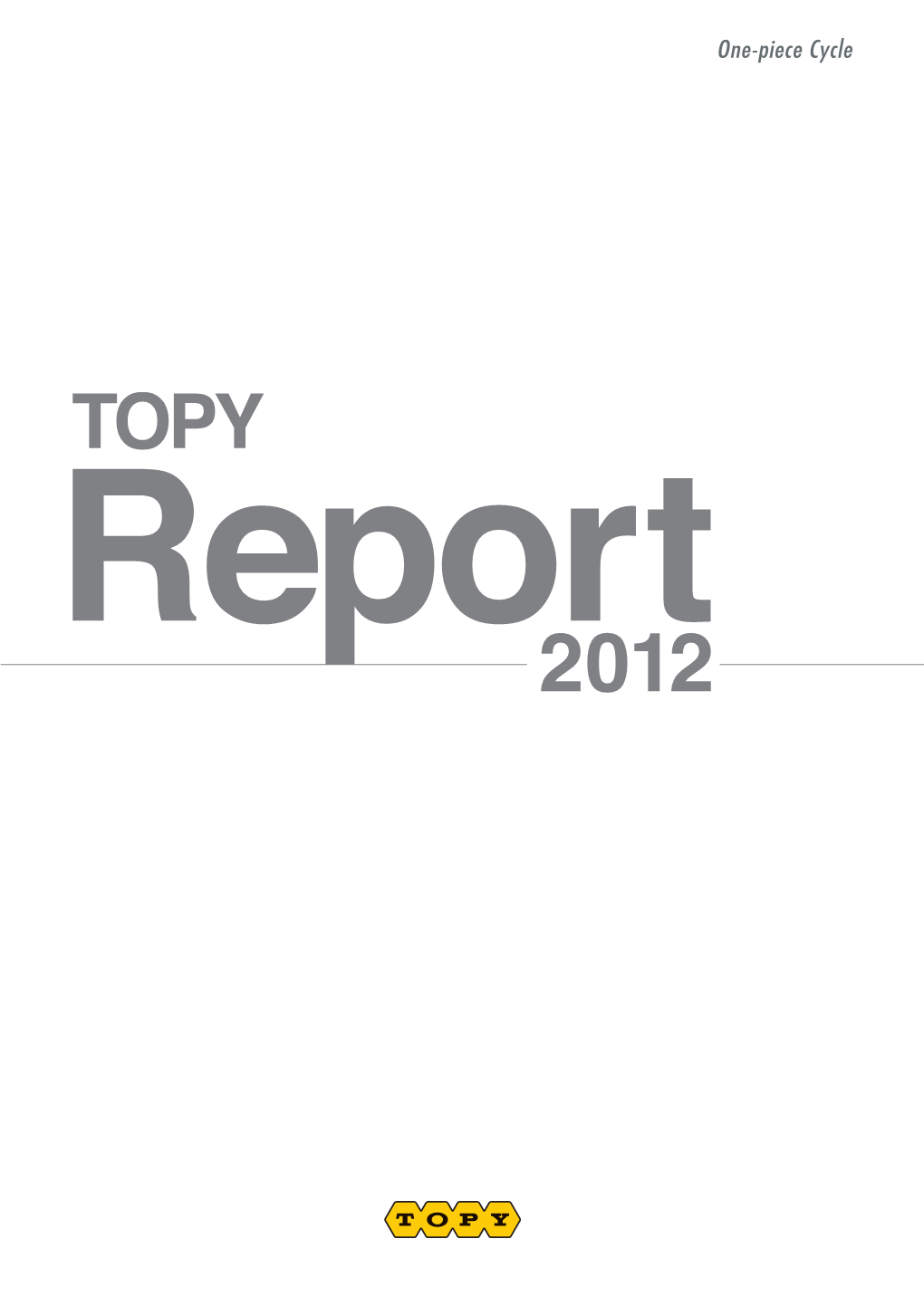 Topyreport2012en.Pdf