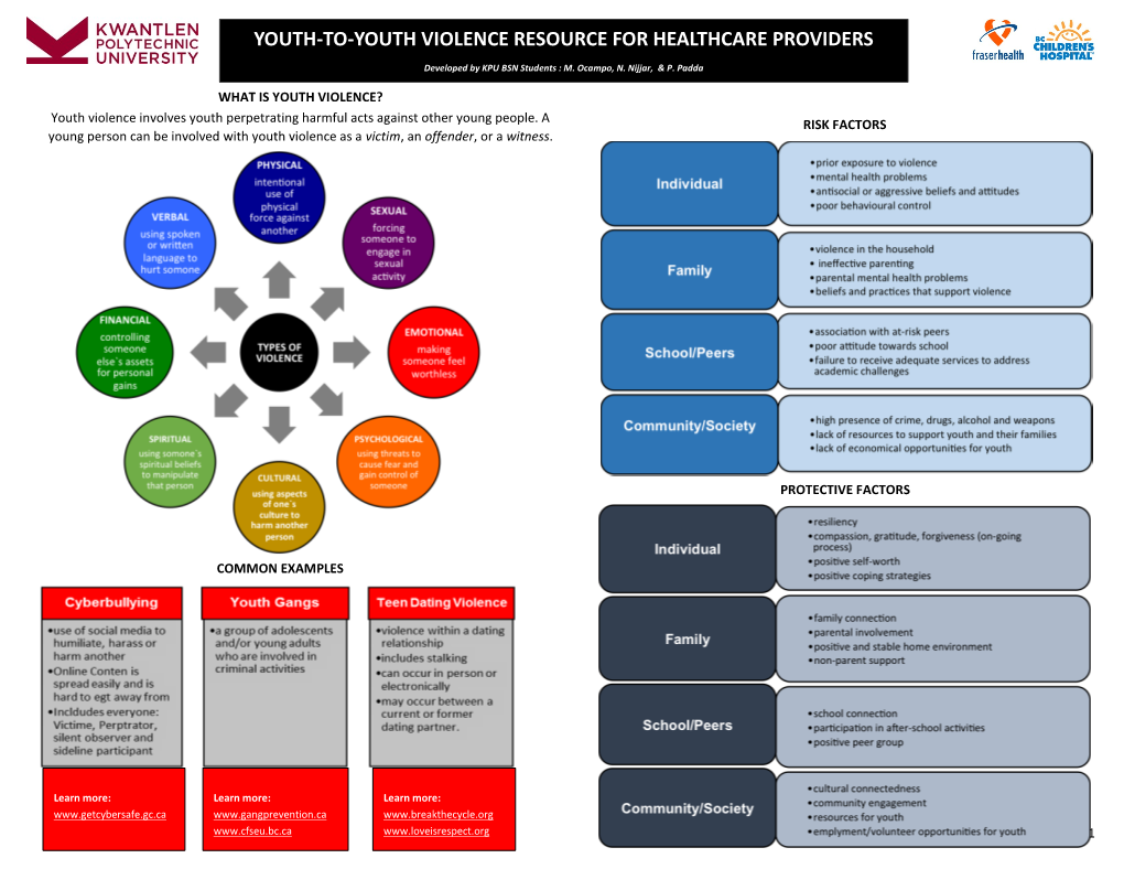 00.00 Youth-To-Youth Violence Resource for Healthcare Provider.Pdf