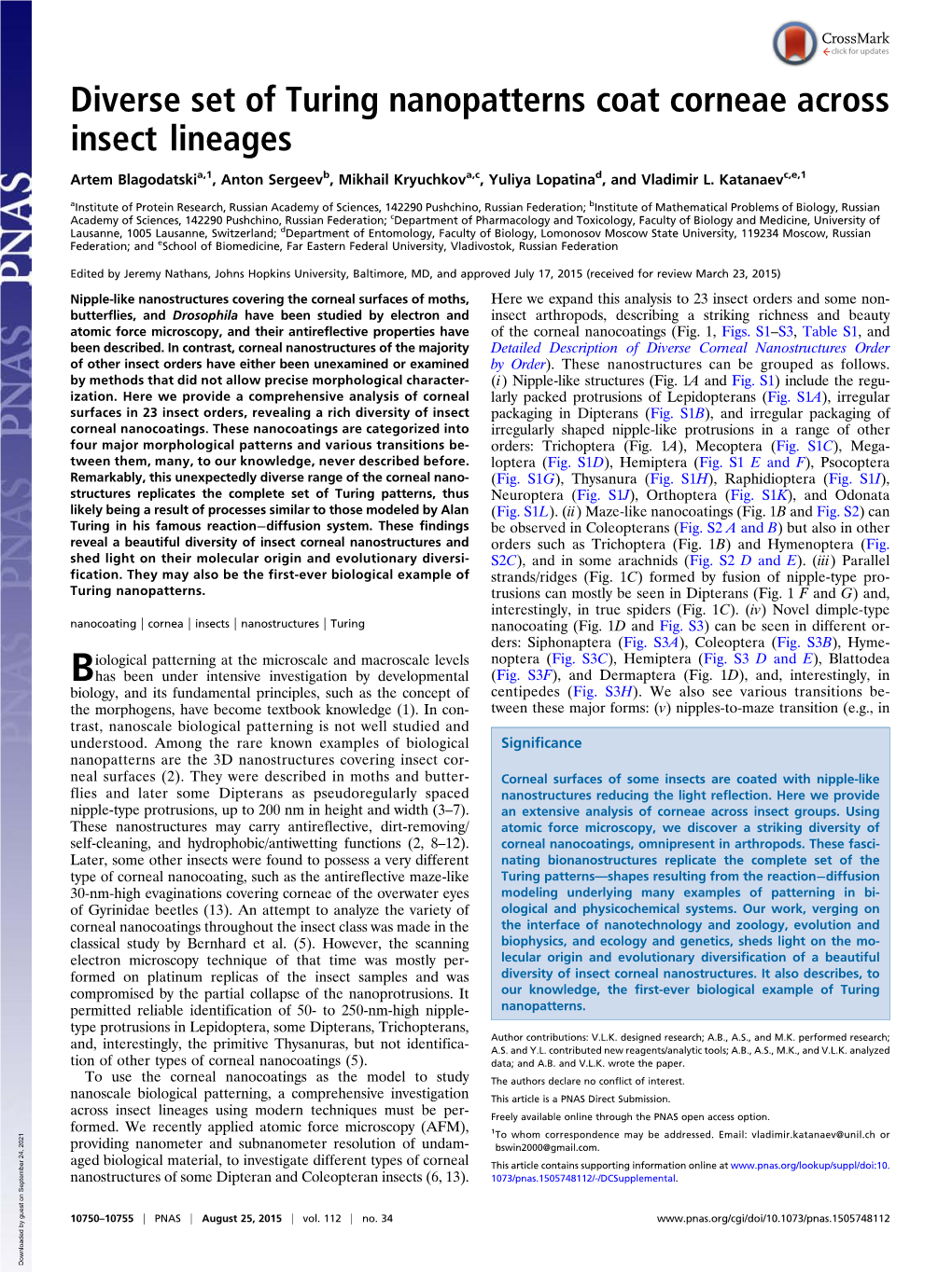 Diverse Set of Turing Nanopatterns Coat Corneae Across Insect Lineages