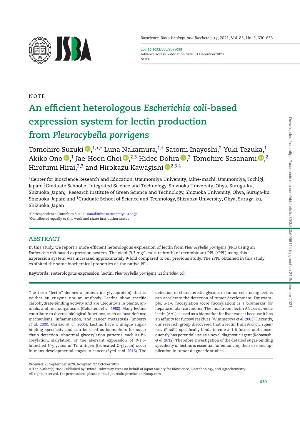 An Efficient Heterologous Escherichia Coli-Based Expression System For