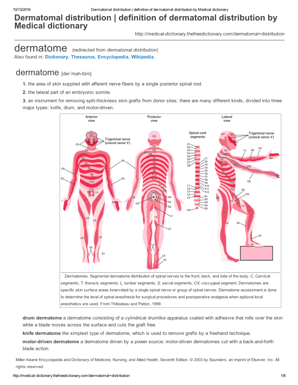 Dermatomal Distribution | Definition of Dermatomal Distribution by Medical