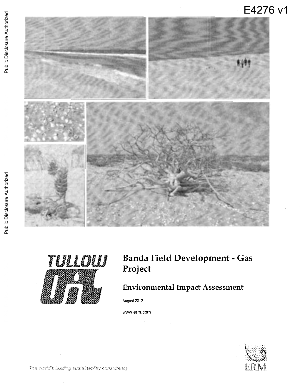 Environmental Assessment and Management