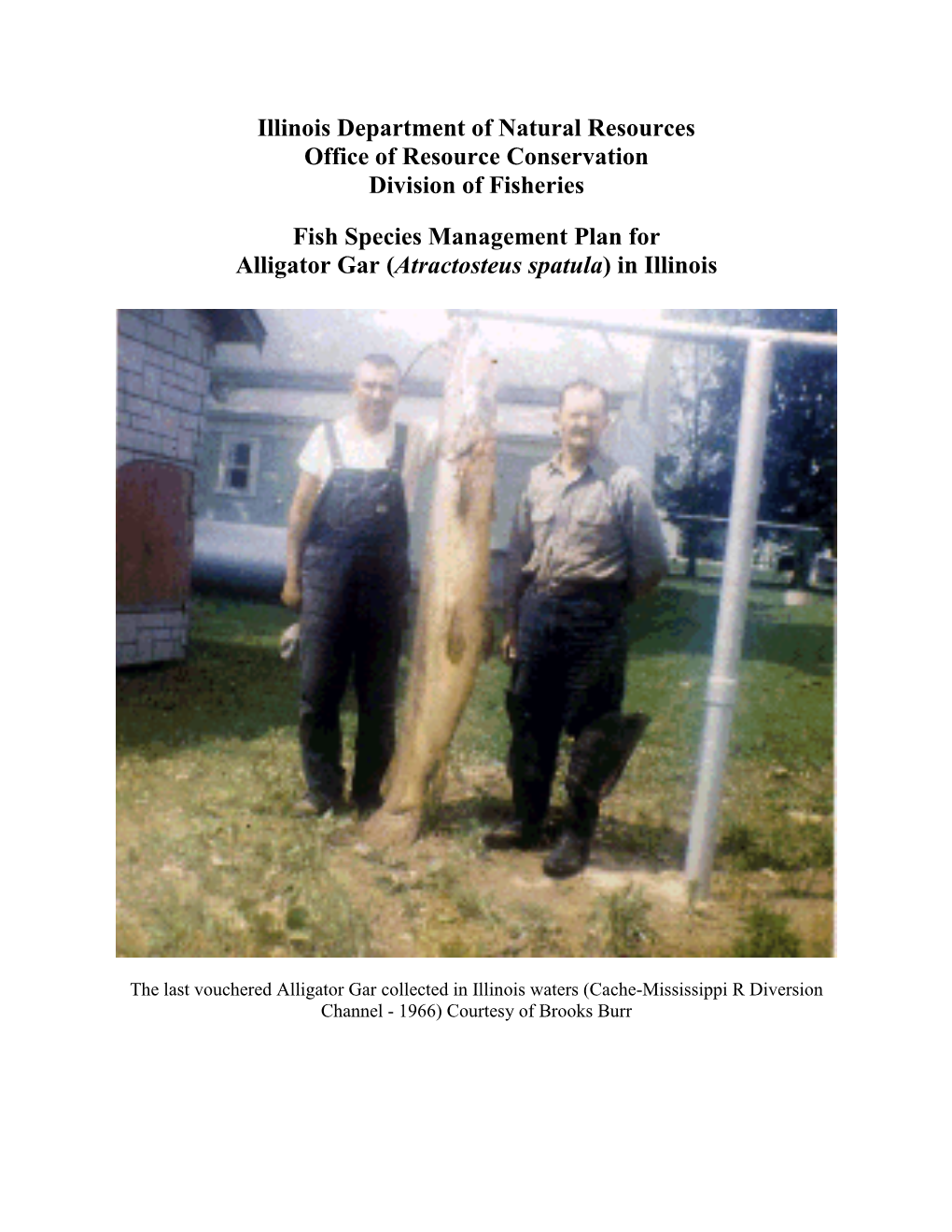 Fish Species Management Plan for Alligator Gar (Atractosteus Spatula) in Illinois