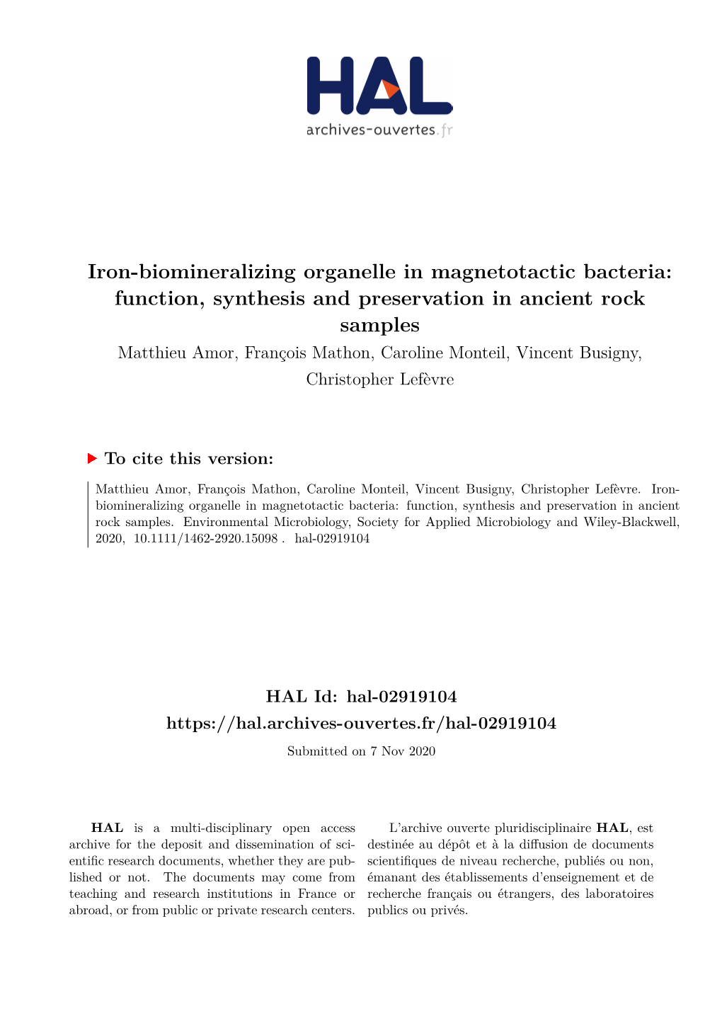 Iron-Biomineralizing Organelle in Magnetotactic Bacteria: Function