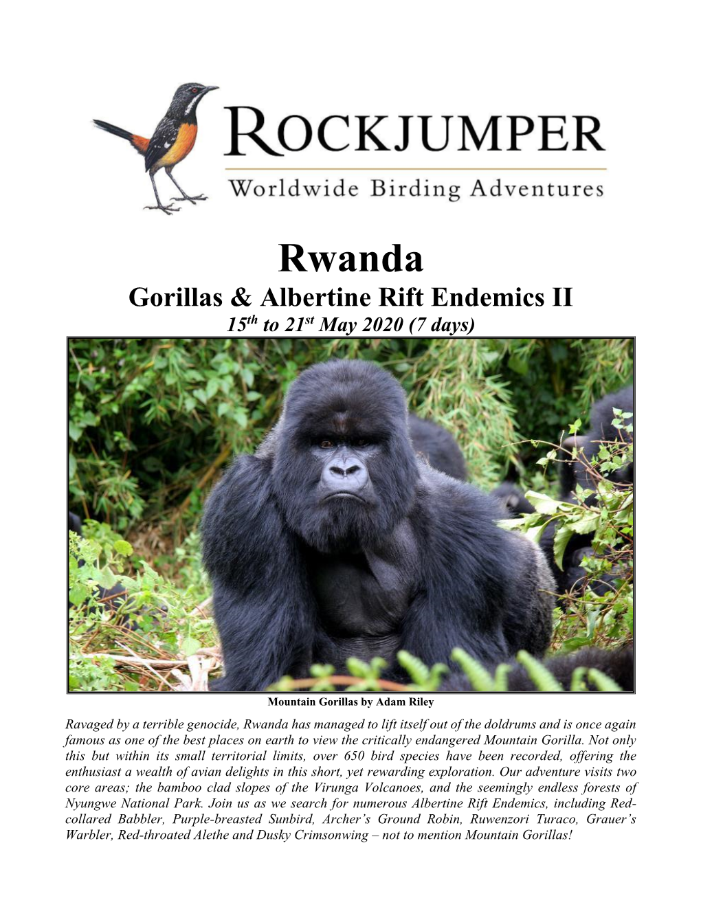 Rwanda Gorillas & Albertine Rift Endemics II 15Th to 21St May 2020 (7 Days)