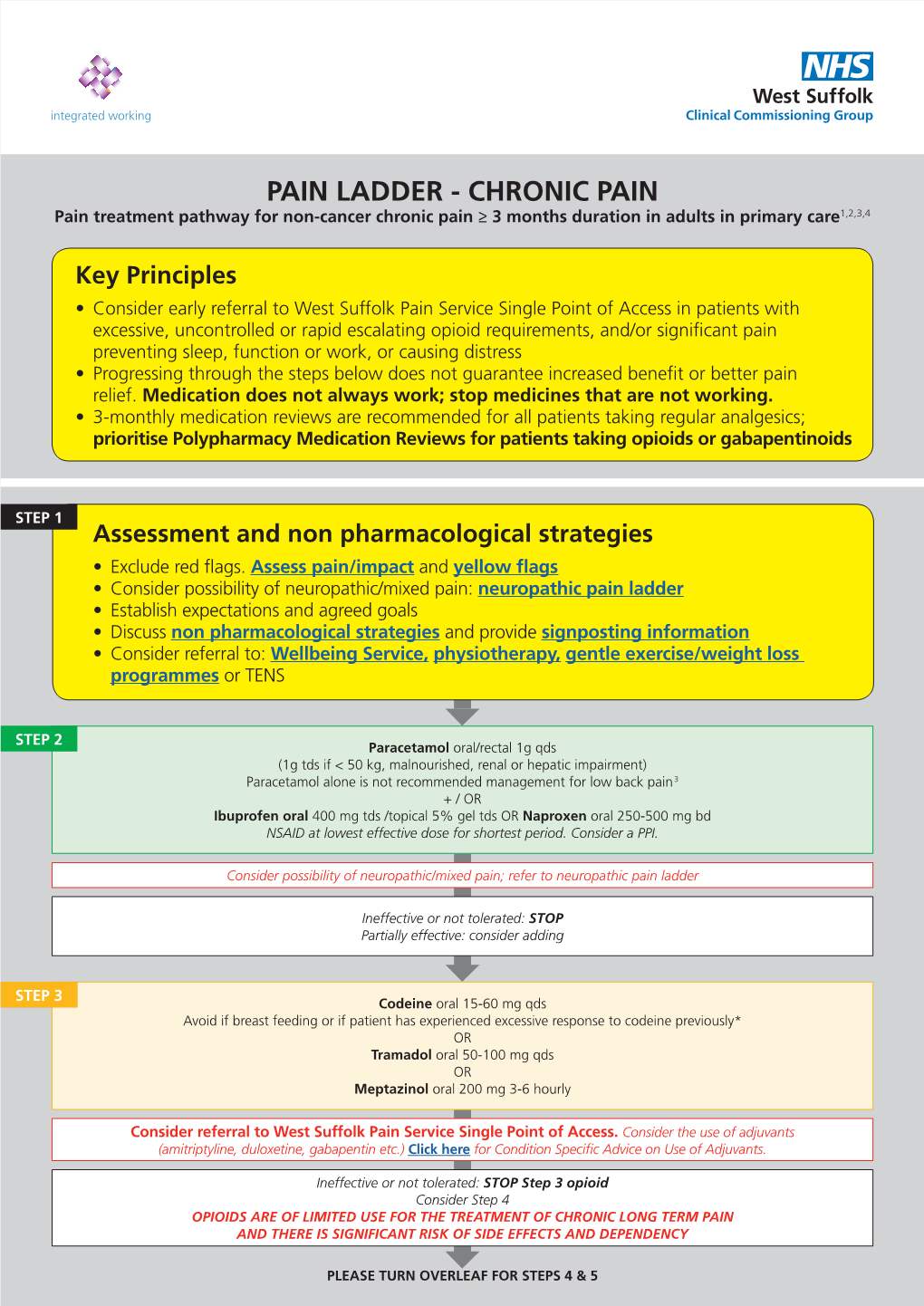 Chronic Pain Ladder