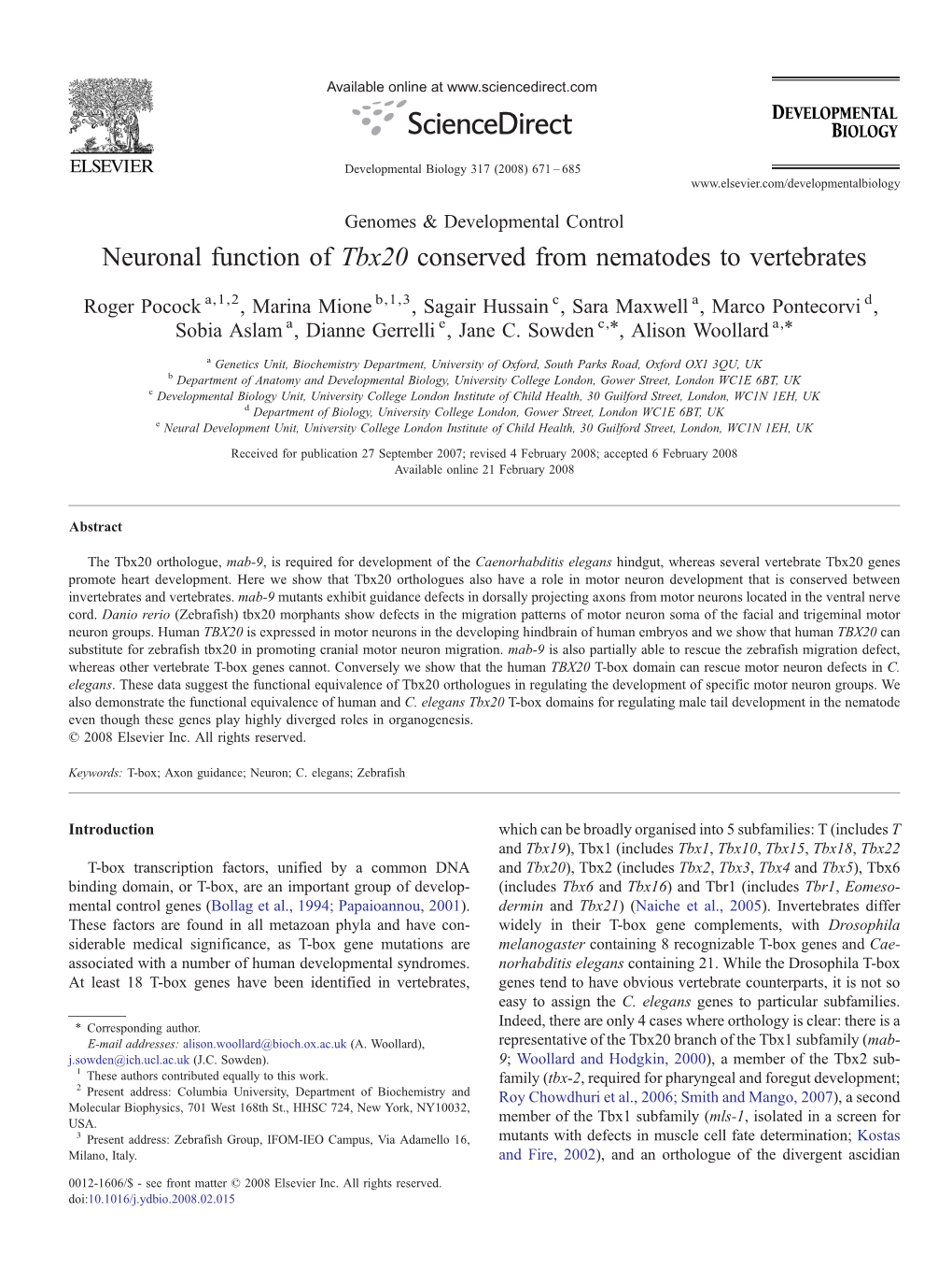 Neuronal Function of Tbx20 Conserved from Nematodes to Vertebrates