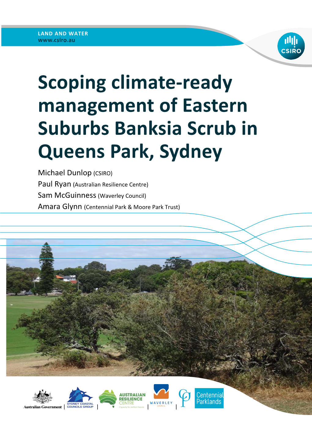 Scoping Climate-Ready Management of Eastern Suburbs Banksia Scrub