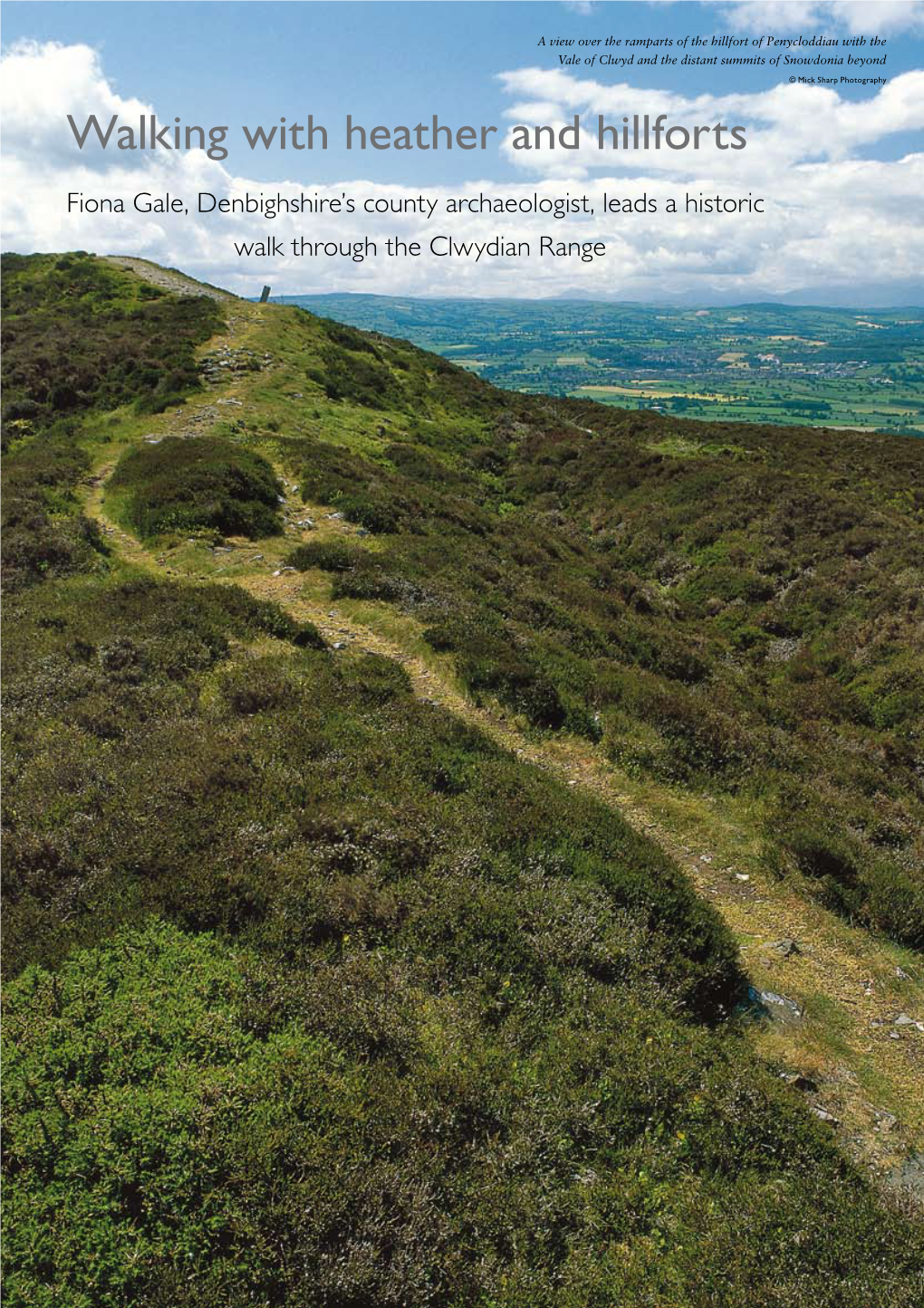 Clwydian Range Walking with Heather and Hillforts © Mick S © Mick Harp P Harp Hotography