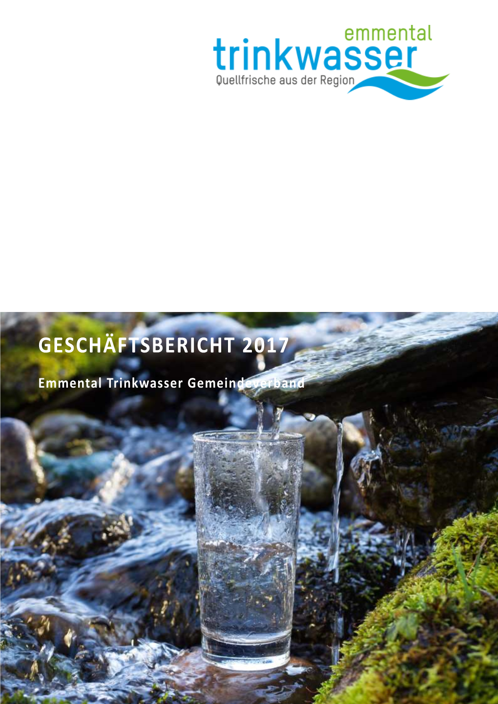 Geschäftsbericht 2017 (Pdf)