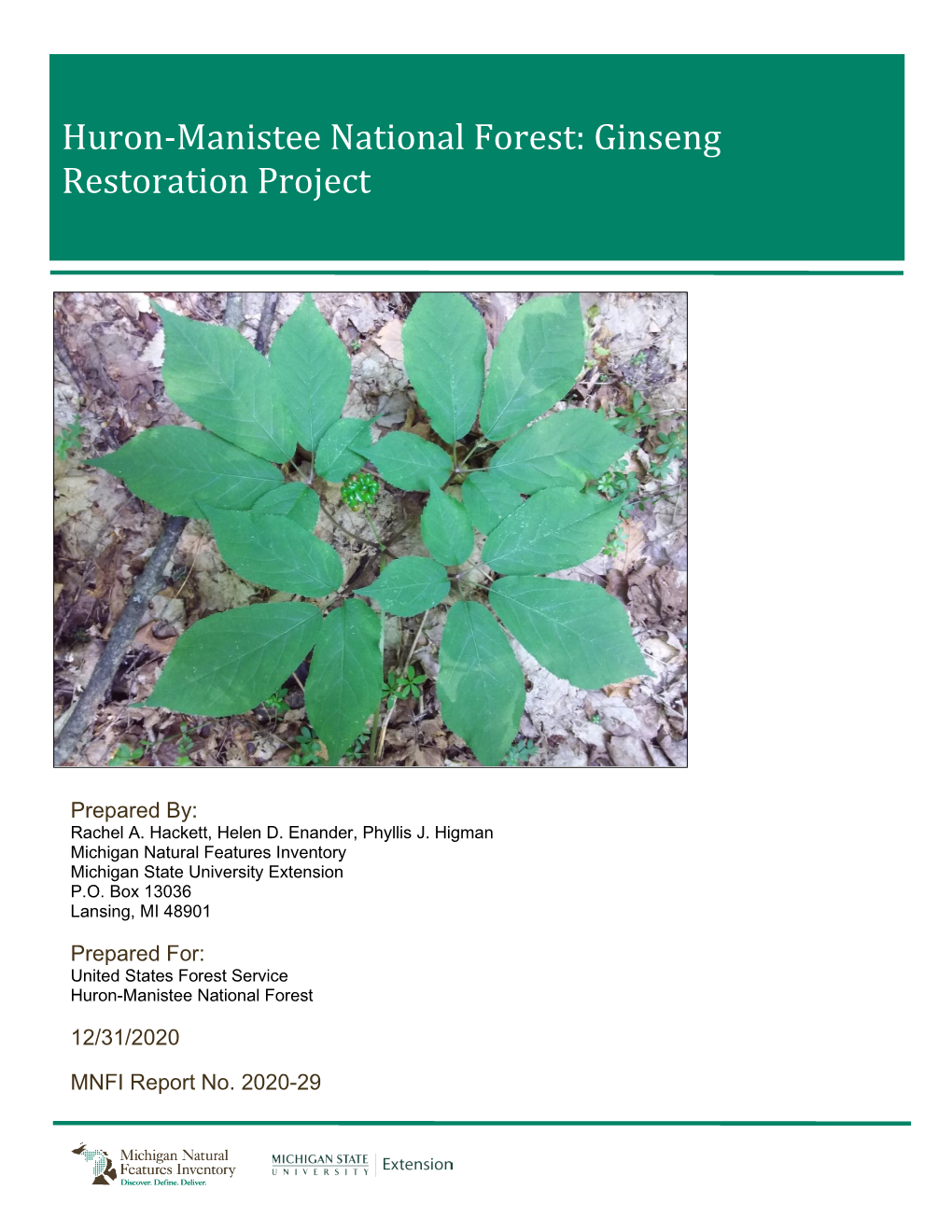 Huron-Manistee National Forest: Ginseng Restoration Project