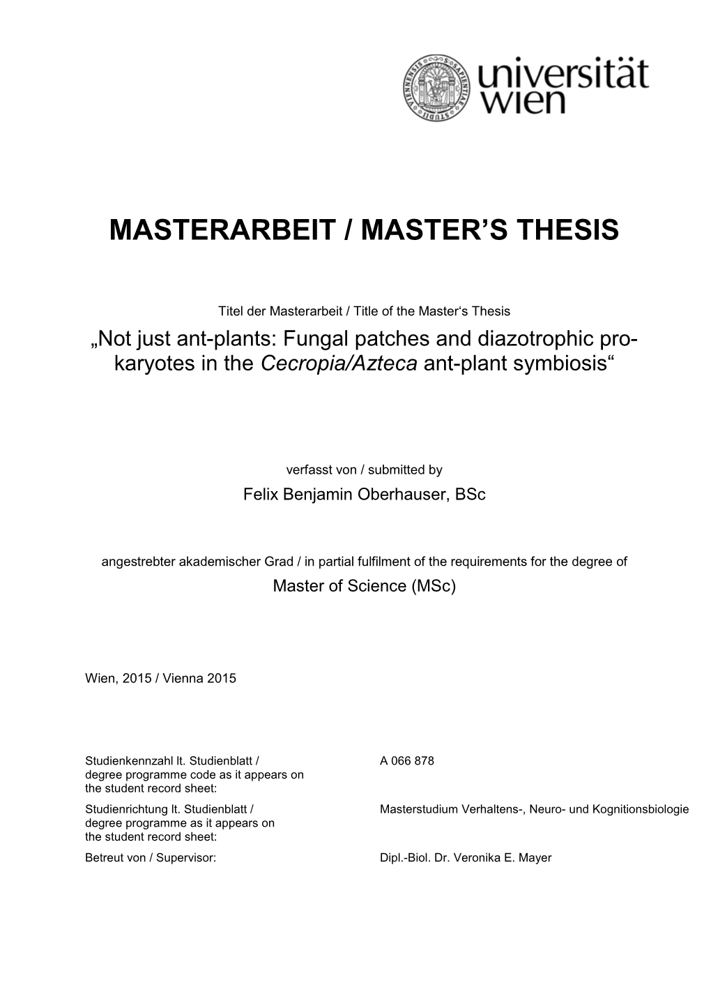 Masterarbeit / Master's Thesis