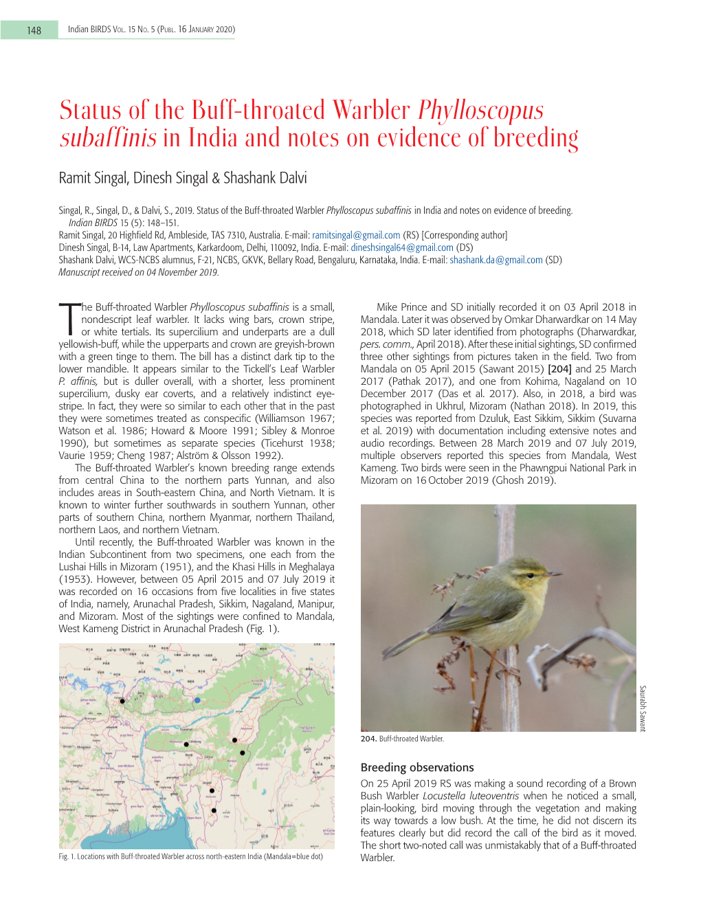 Status of the Buff-Throated Warbler Phylloscopus Subaffinis in India and Notes on Evidence of Breeding