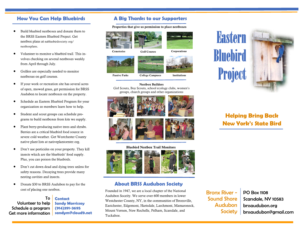 Eastern Bluebird Project Brochure