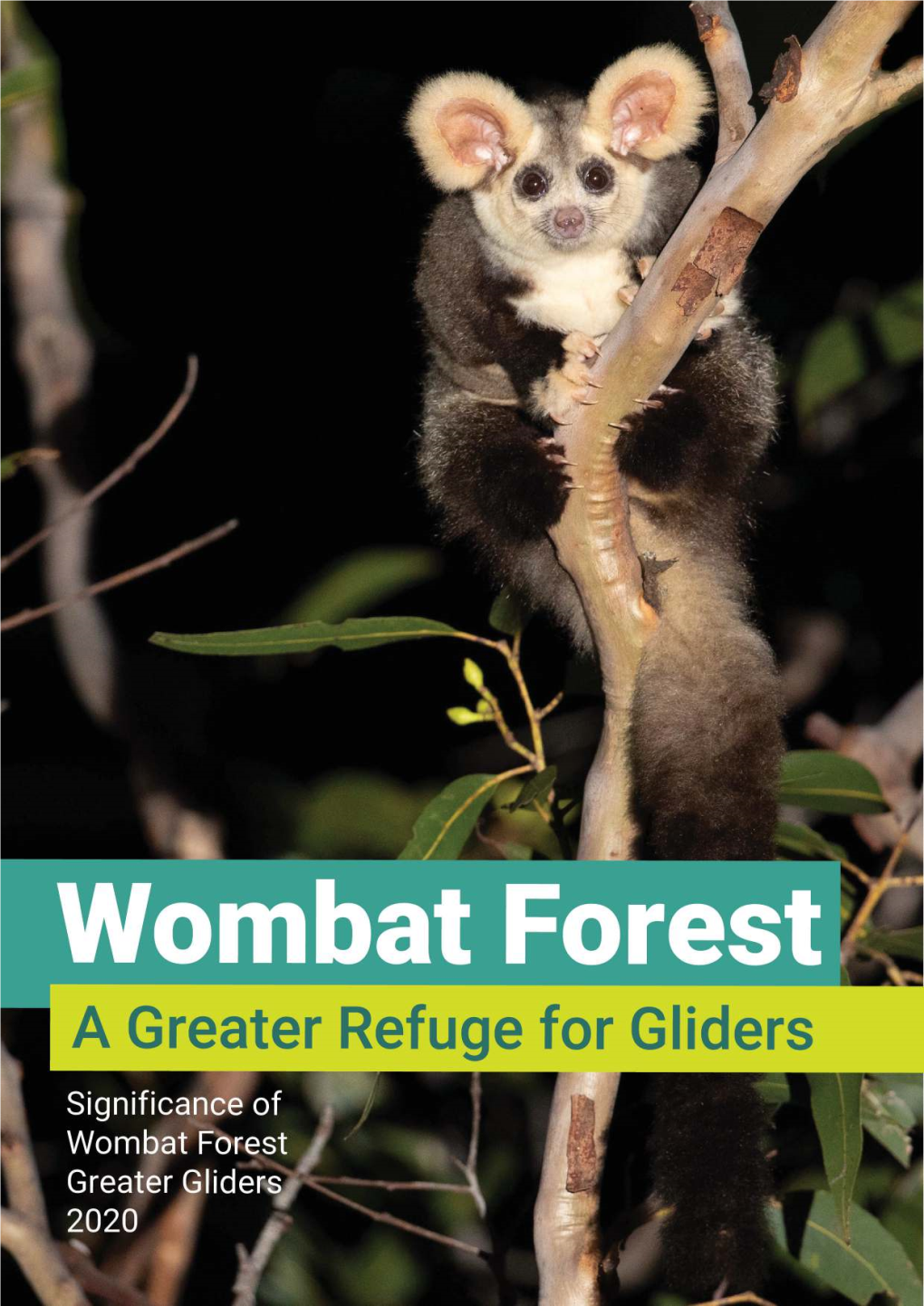 Wombat Forest: a Greater Refuge for Gliders