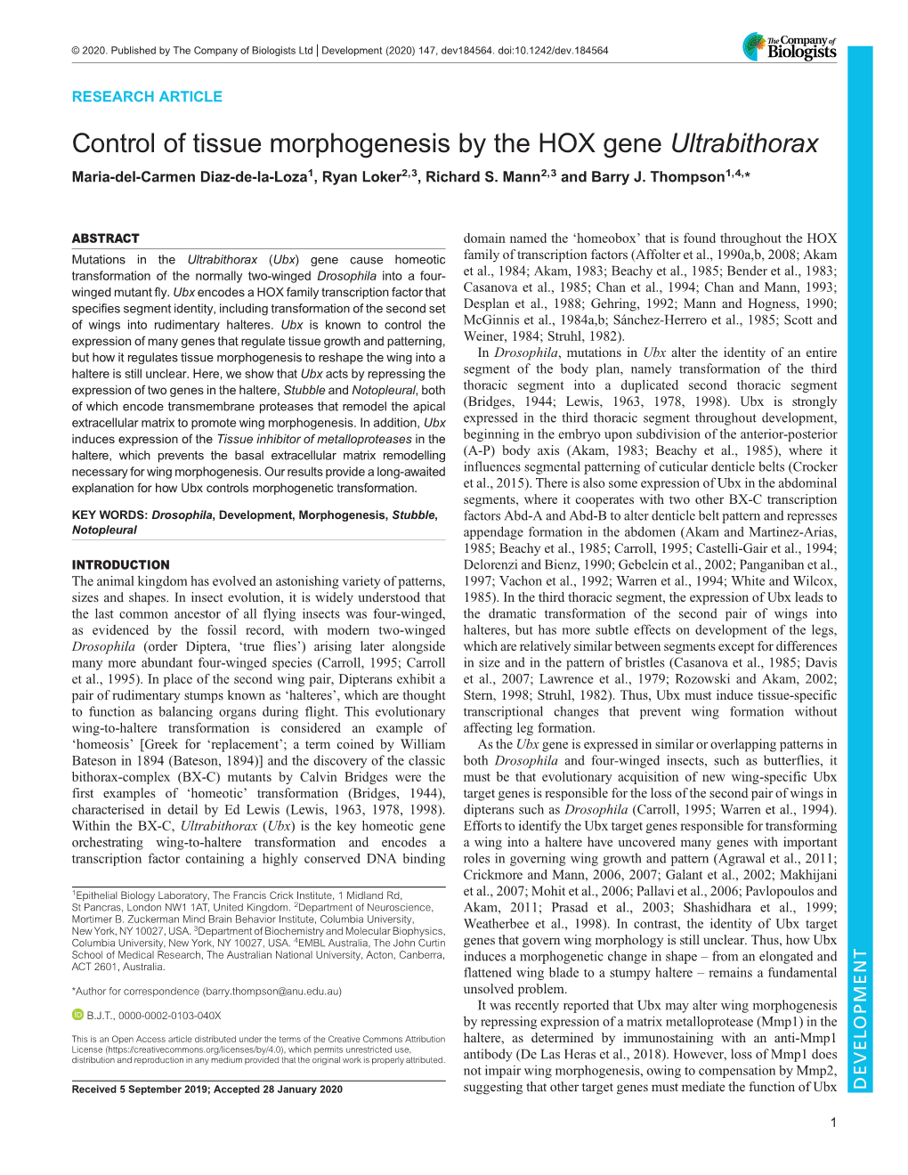 Control of Tissue Morphogenesis by the HOX Gene Ultrabithorax Maria-Del-Carmen Diaz-De-La-Loza1, Ryan Loker2,3, Richard S