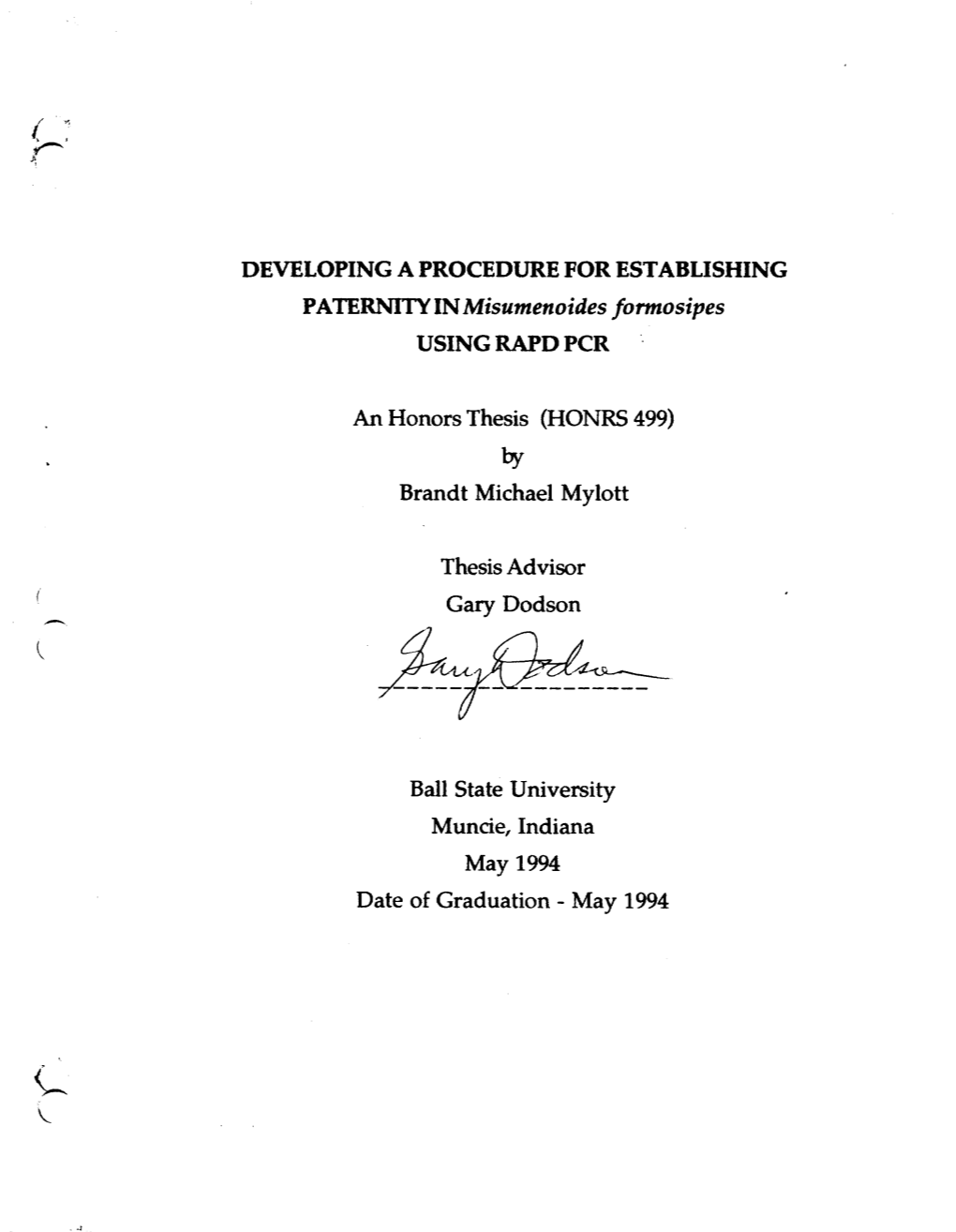 PATERNITY in Misumenoides /Ormosipes USING RAPD PCR