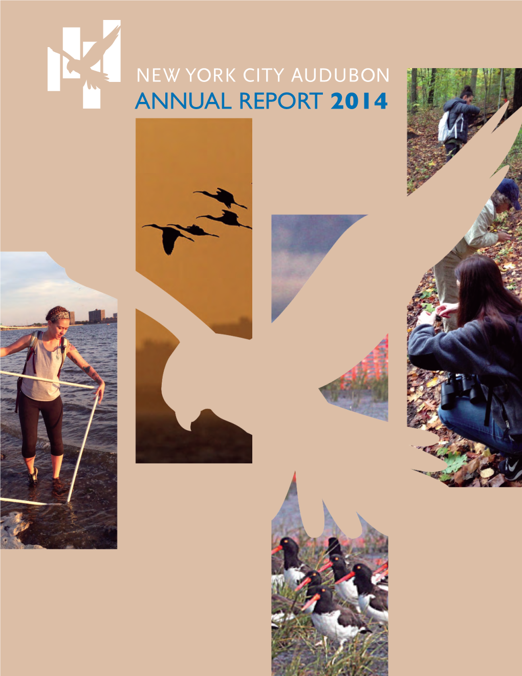 Annual Report for Fiscal Year 2014