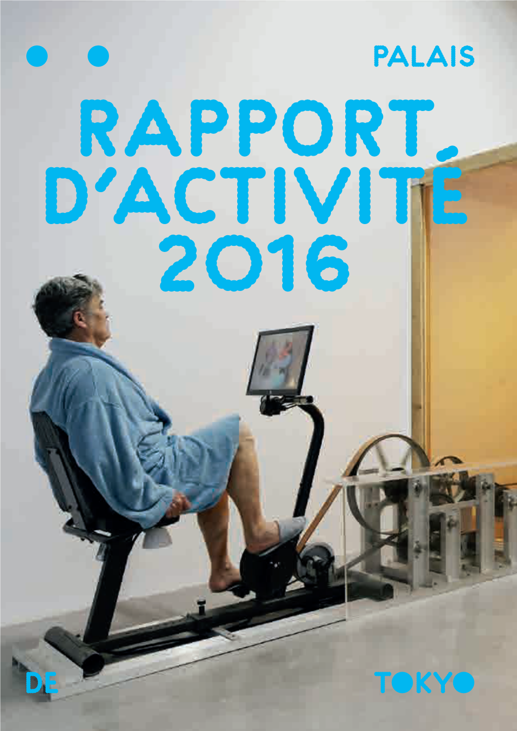 Rapport D'activité 2016