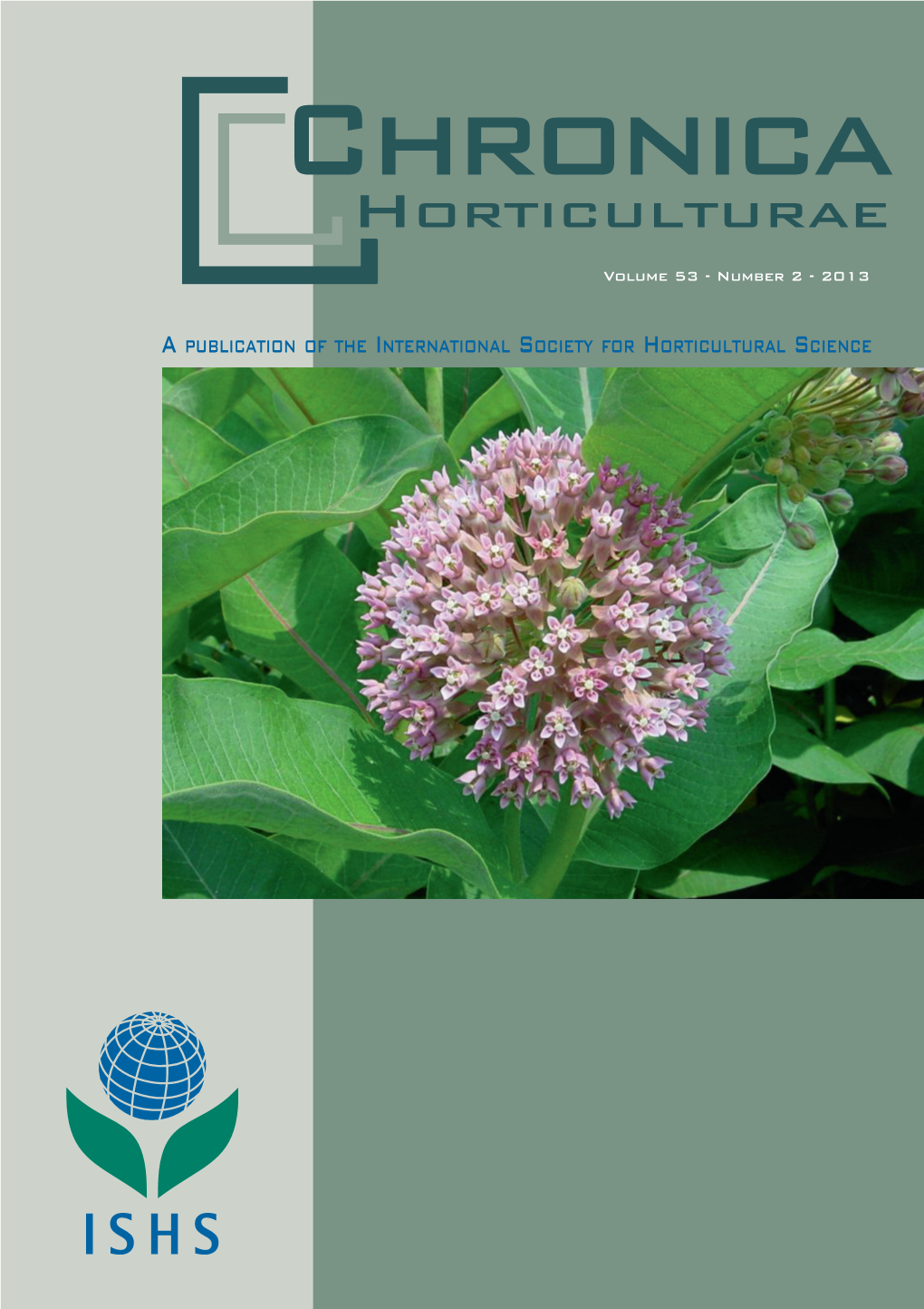 Nomenclature and Iconography of Common Milkweed