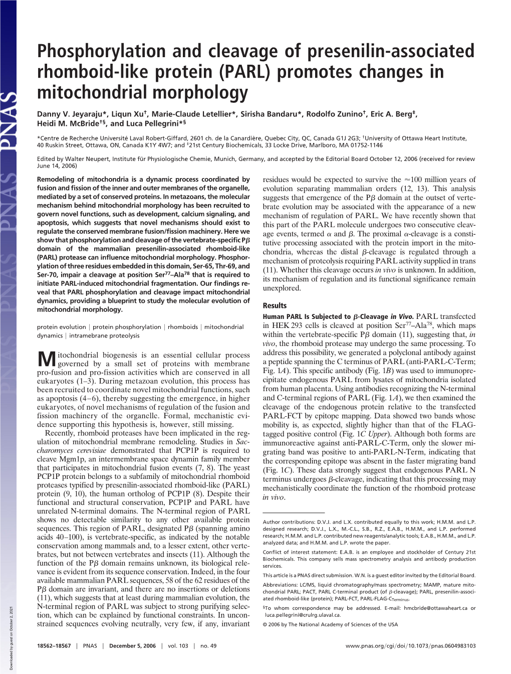 Phosphorylation and Cleavage of Presenilin-Associated Rhomboid-Like Protein (PARL) Promotes Changes in Mitochondrial Morphology