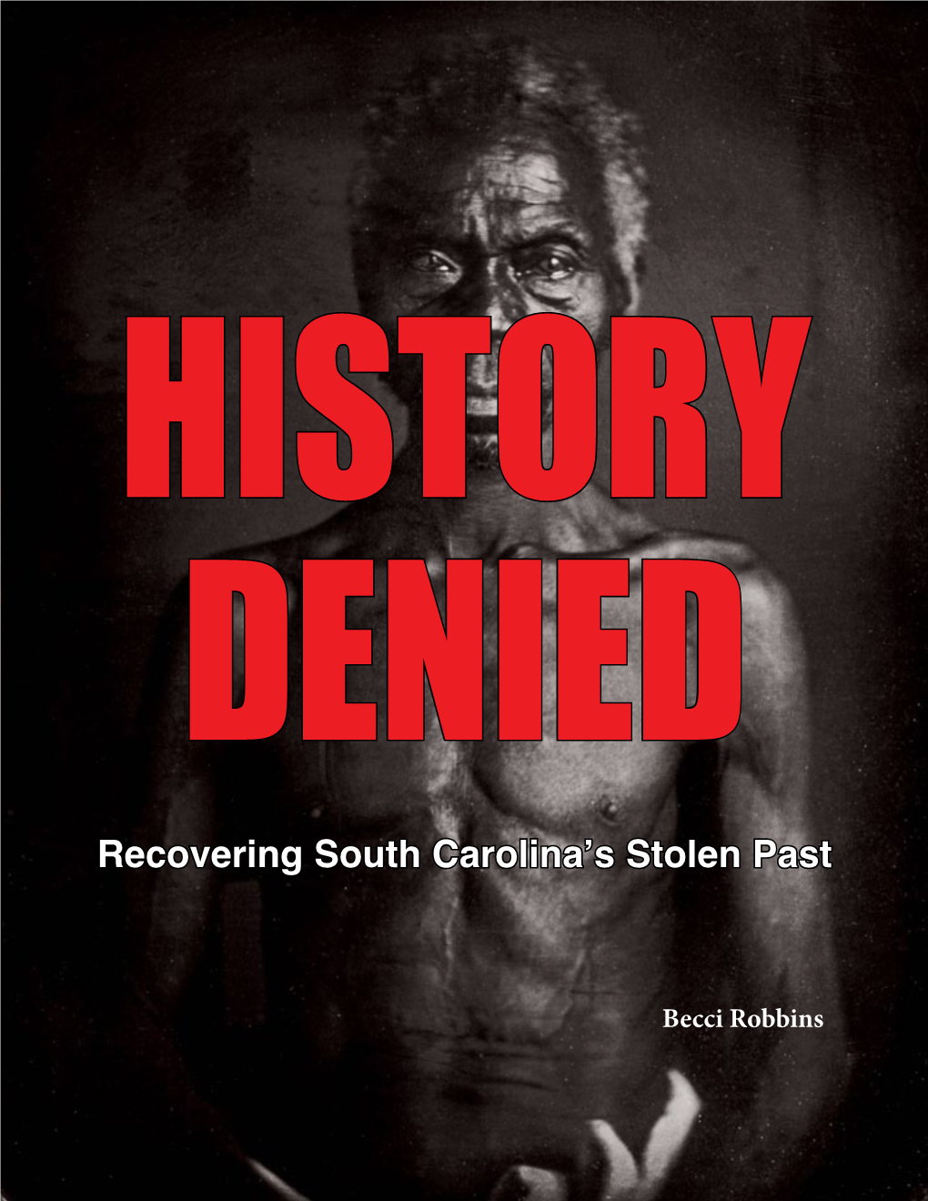 Recovering South Carolina's Stolen Past