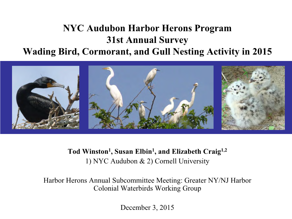 Arthur Kill Wader Colonies