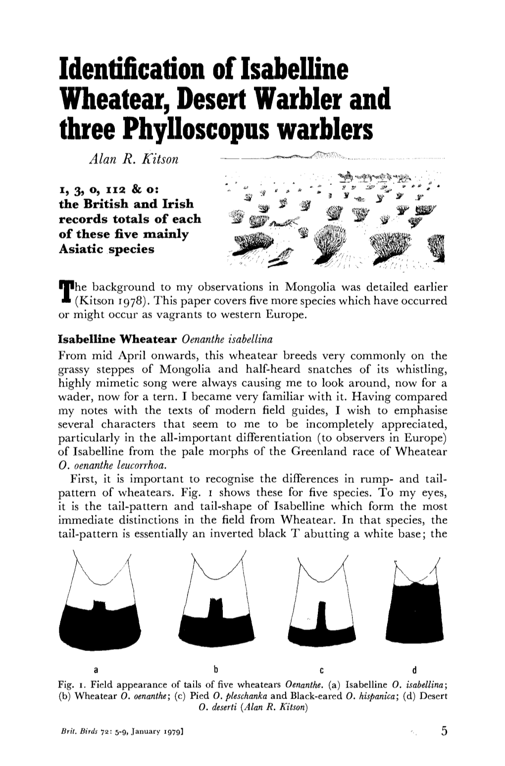 Identification of Isabelline Wheatear, Desert Warbler and Three Phylloscopus Warblers Alan R