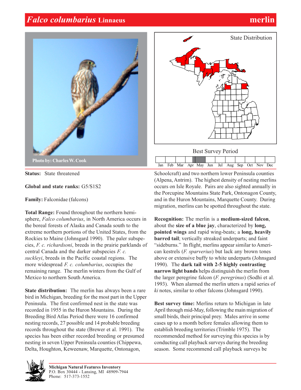 Falco Columbarius Linnaeus Merlin,Merlin Page 1